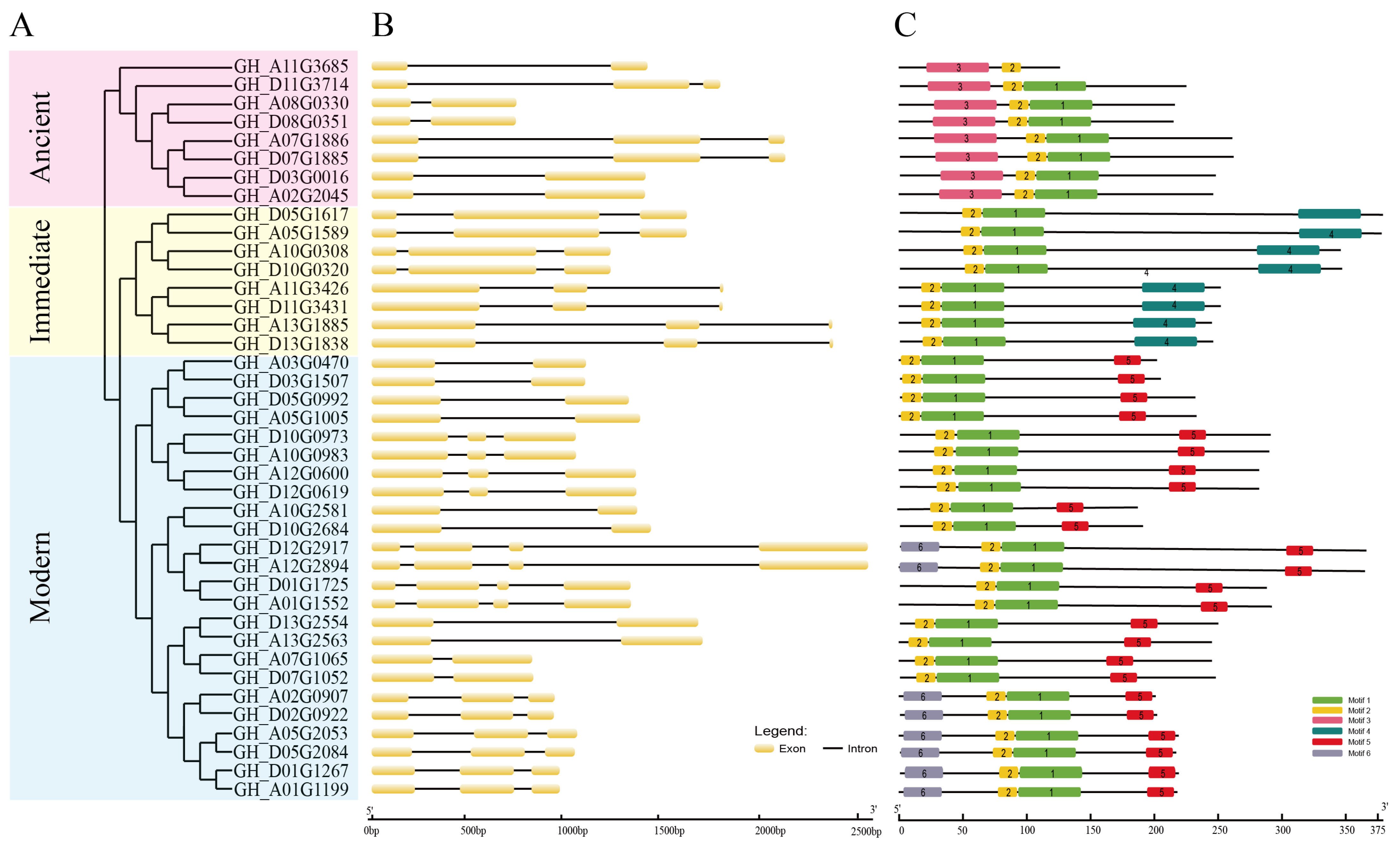 Ijms 24 11077 g002 Ijms 24 11077 g002