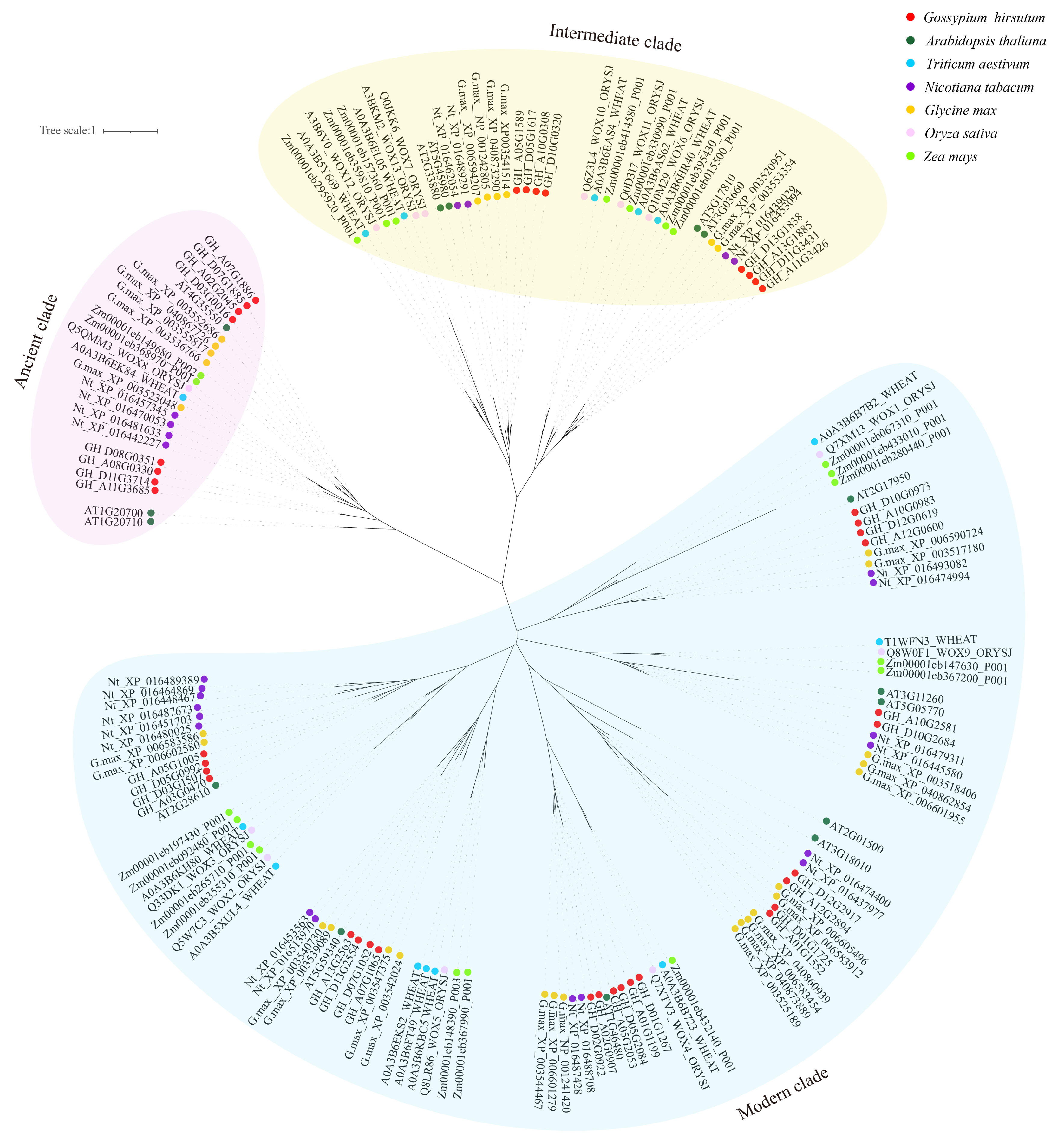 Ijms 24 11077 g003 Ijms 24 11077 g003