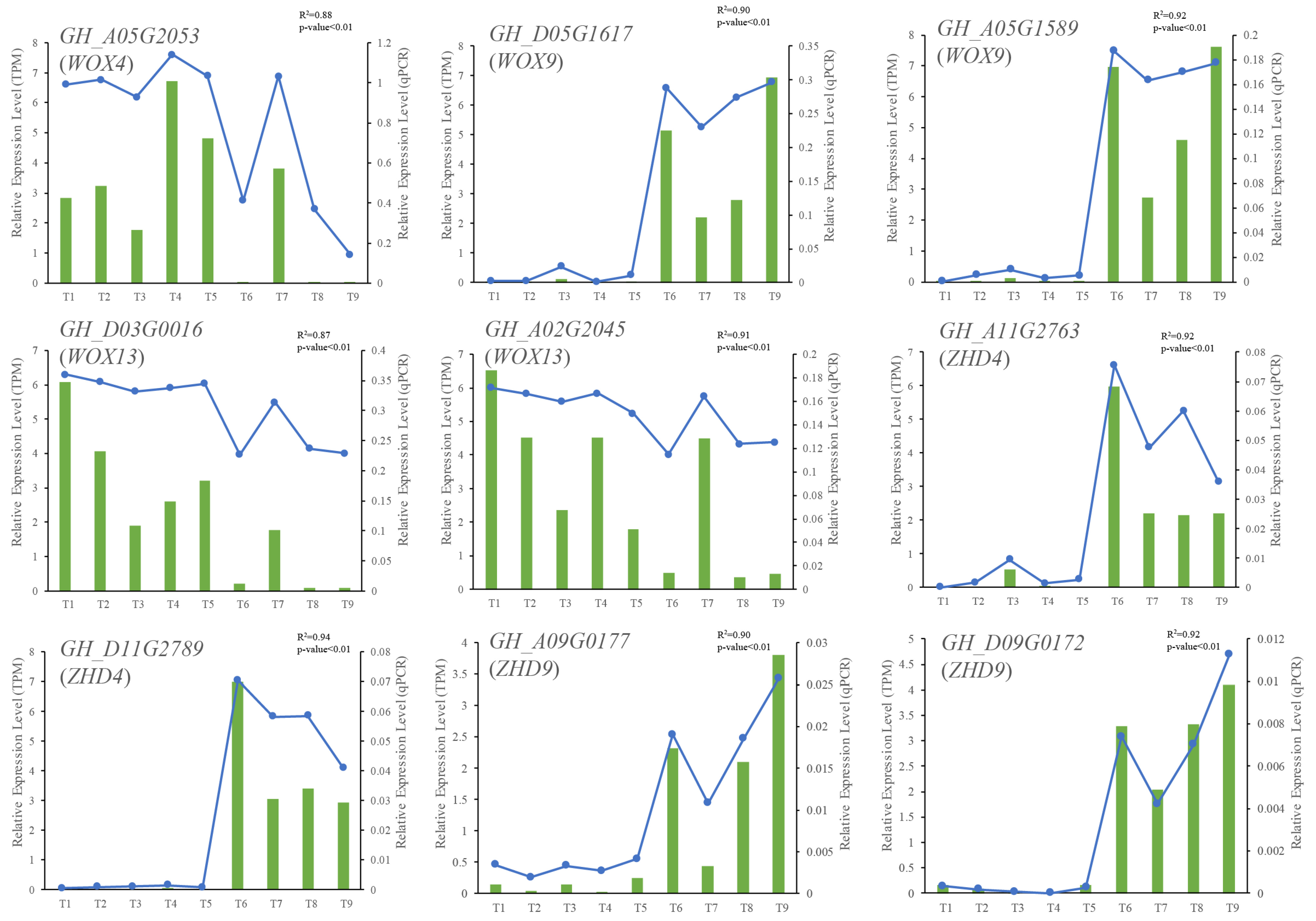 Ijms 24 11077 g005 Ijms 24 11077 g005