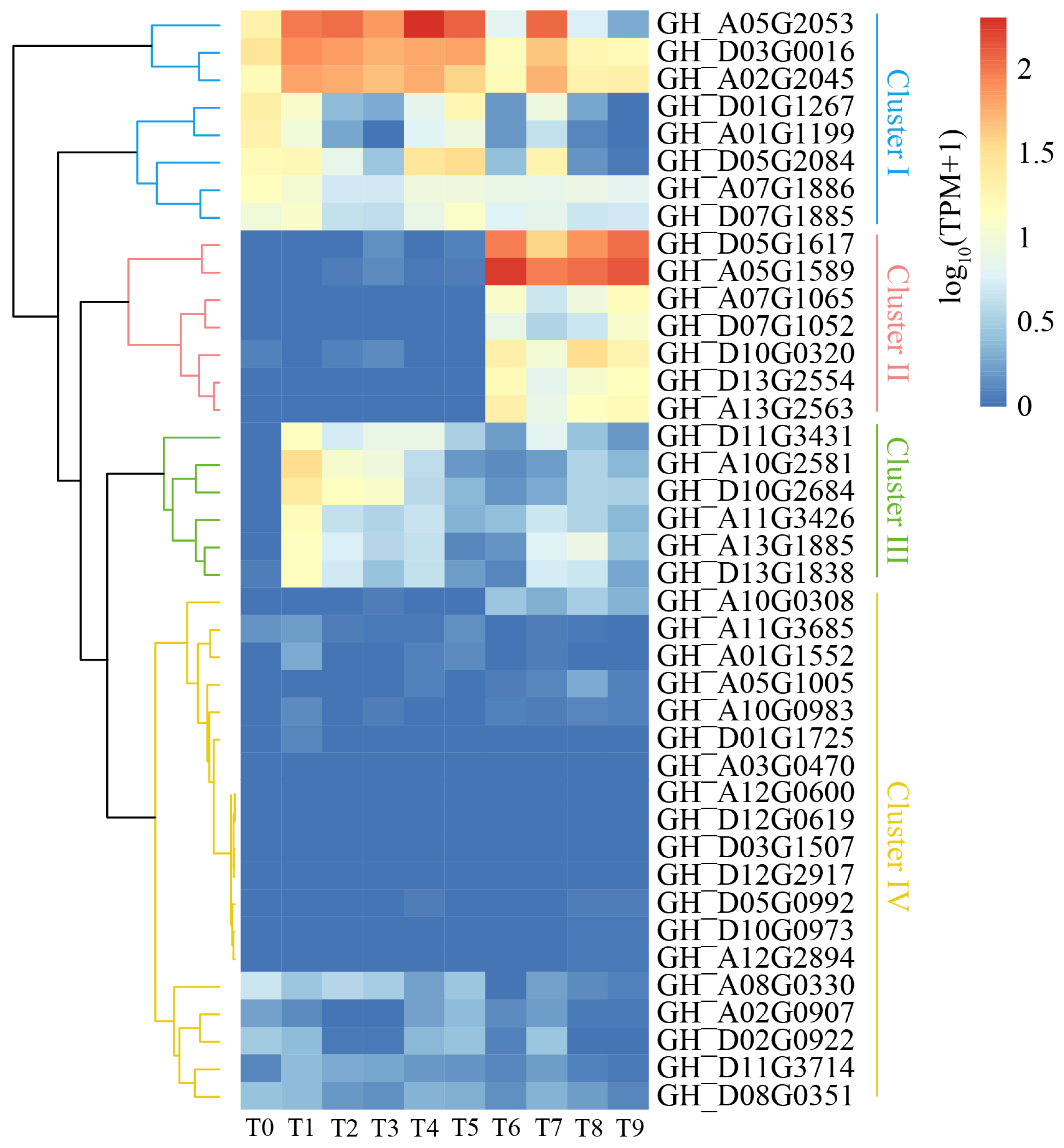 Ijms 24 11077 g006 Ijms 24 11077 g006