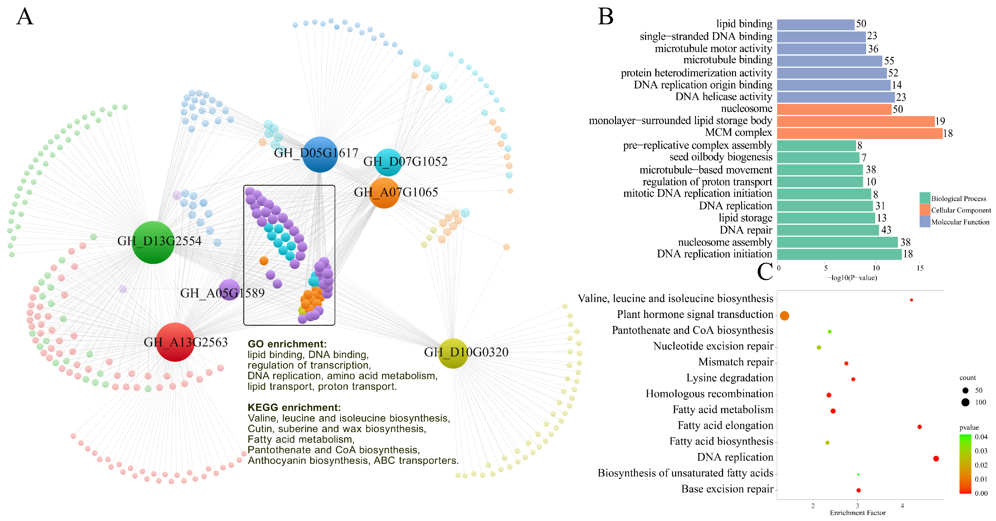 Ijms 24 11077 g008 Ijms 24 11077 g008