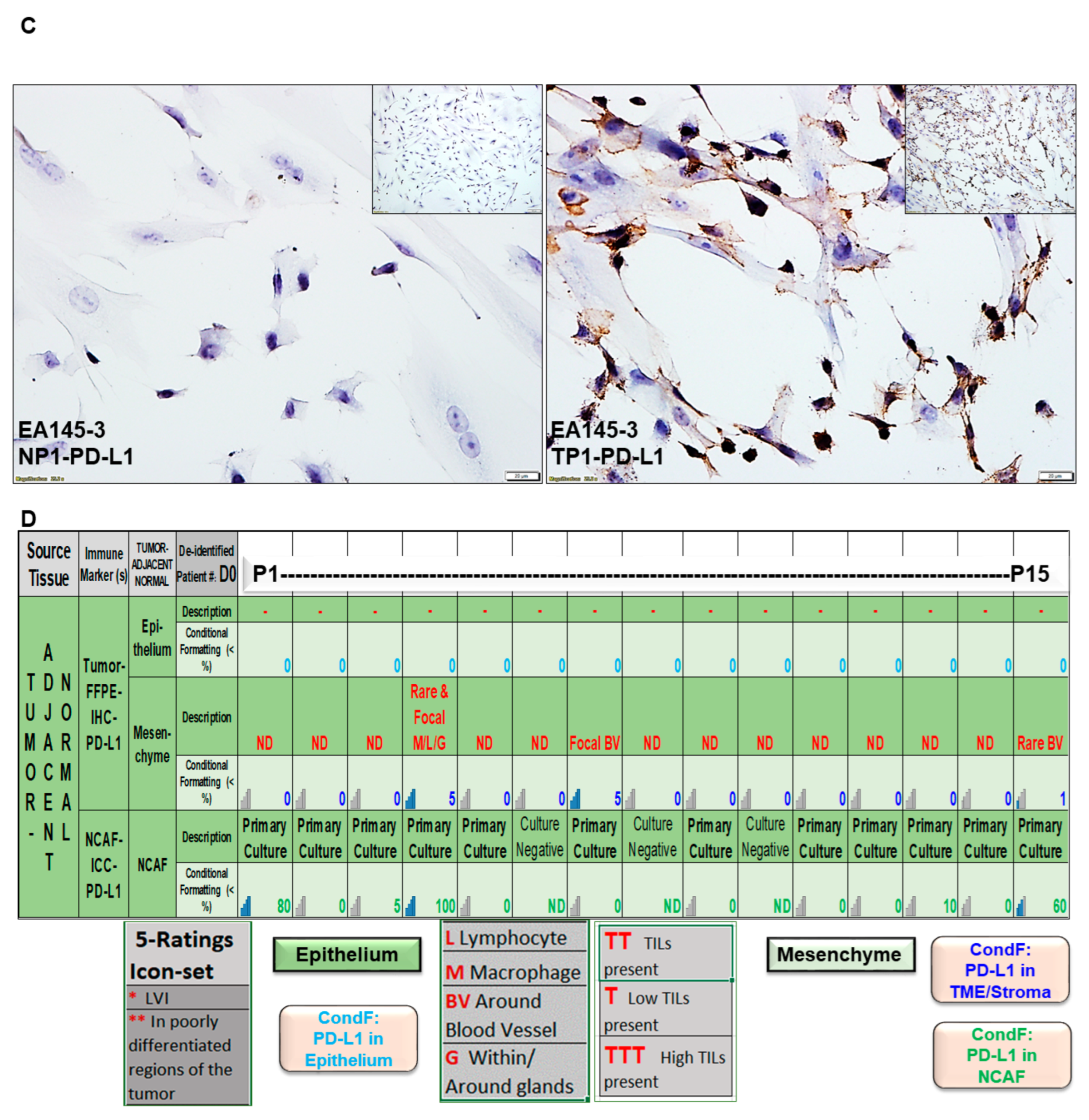 Ijms 24 11079 g006b Ijms 24 11079 g006b