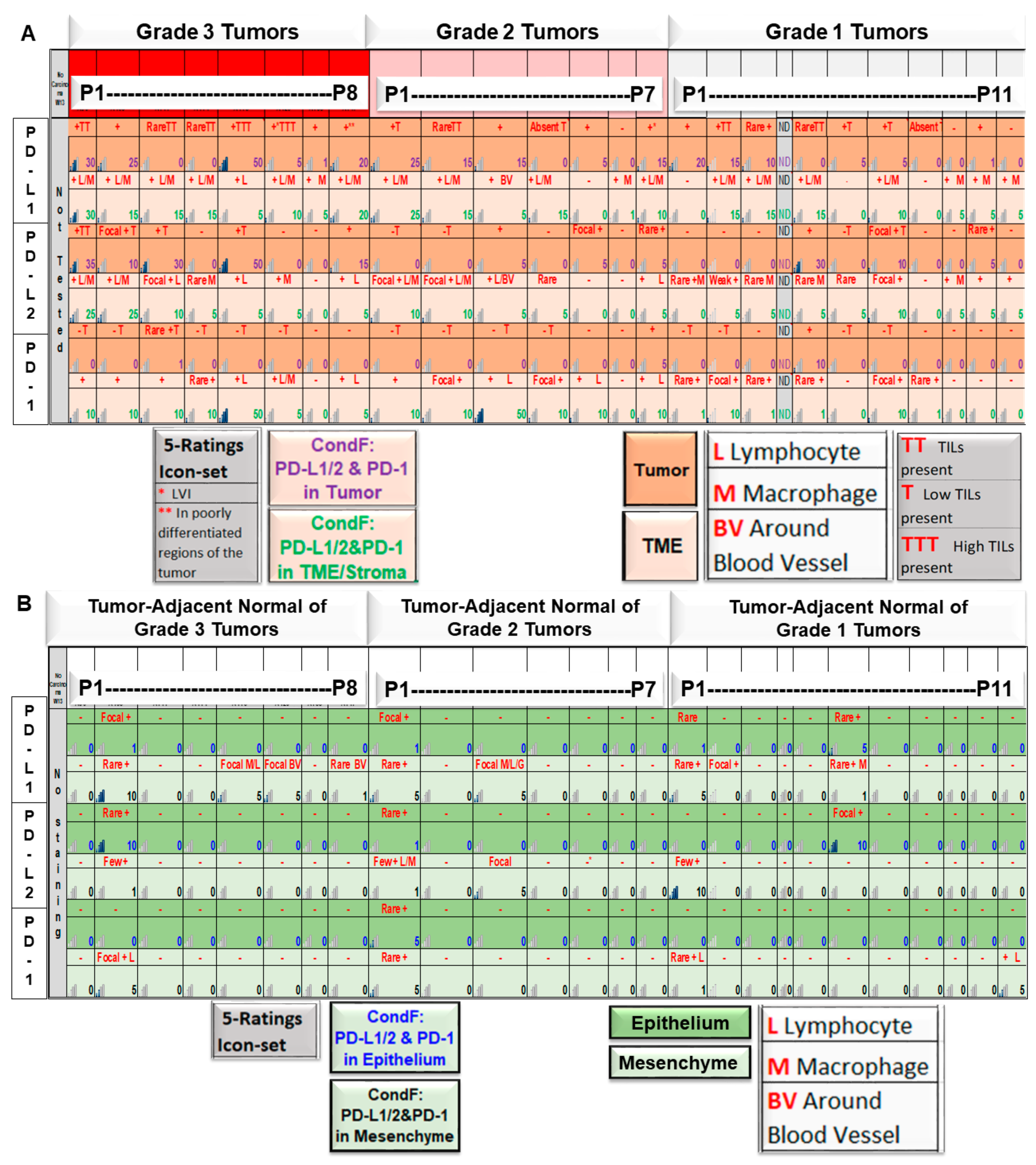Ijms 24 11079 g008 Ijms 24 11079 g008