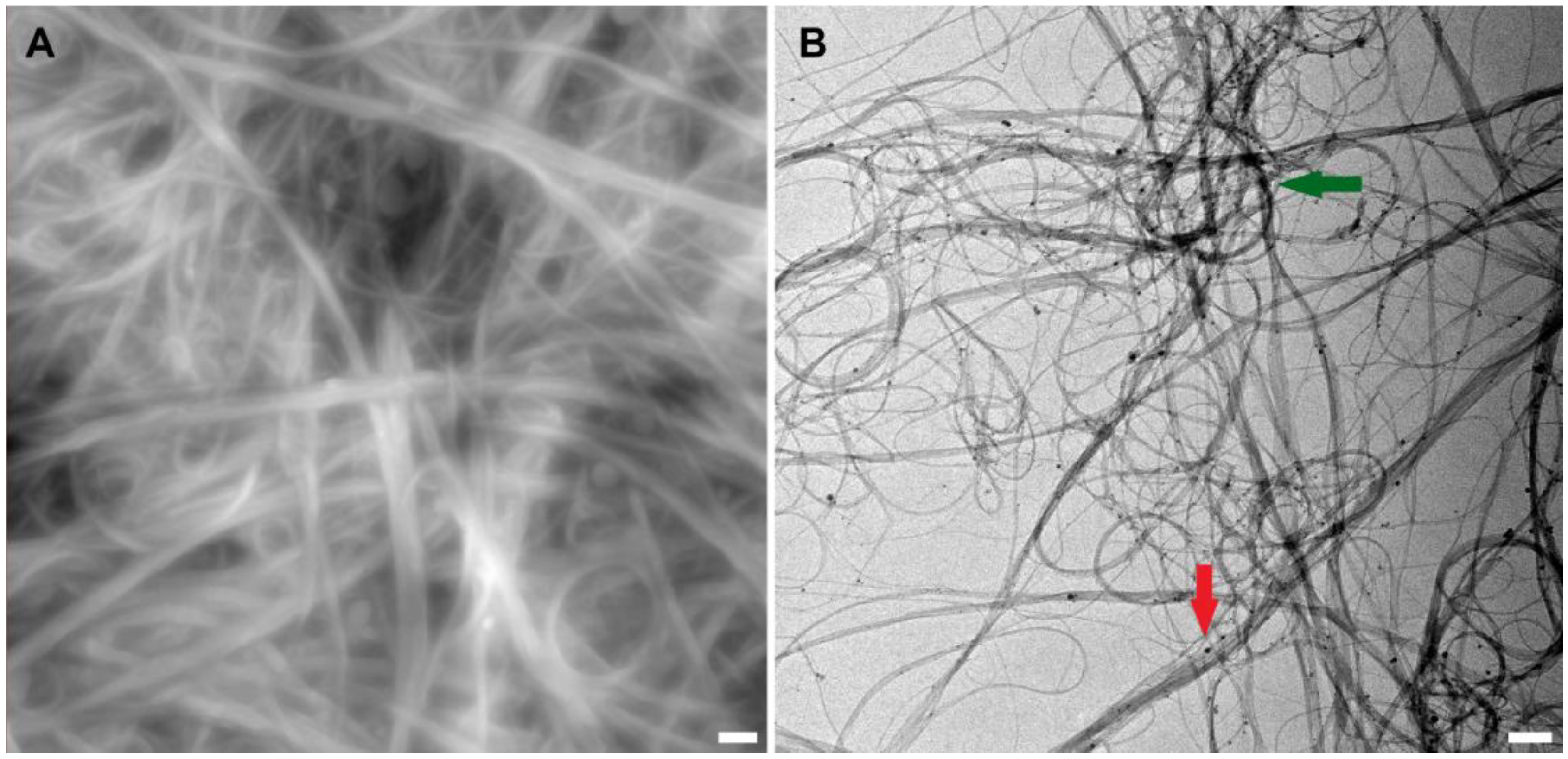 Ijms 24 11092 g001 Ijms 24 11092 g001