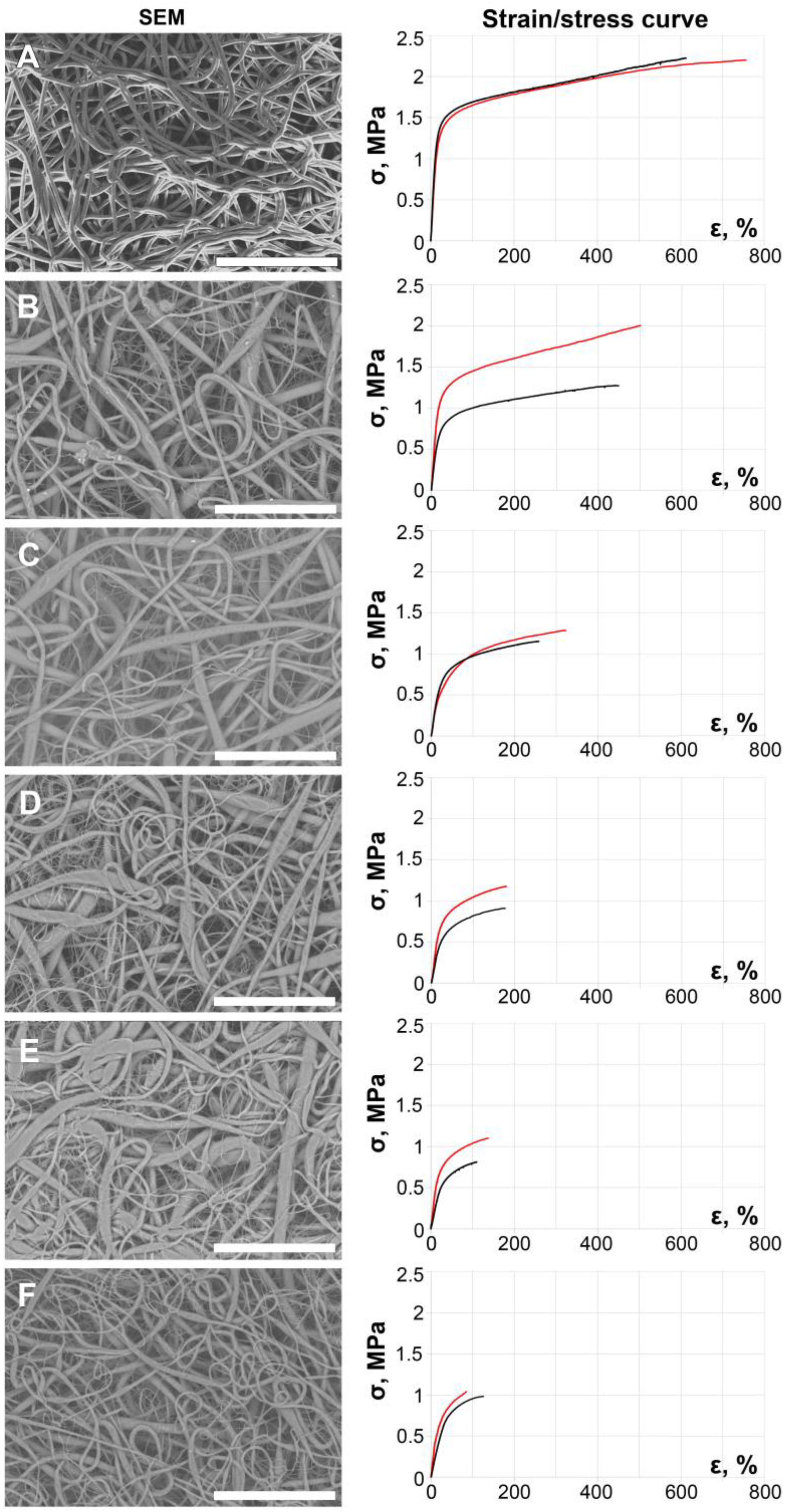 Ijms 24 11092 g002 Ijms 24 11092 g002