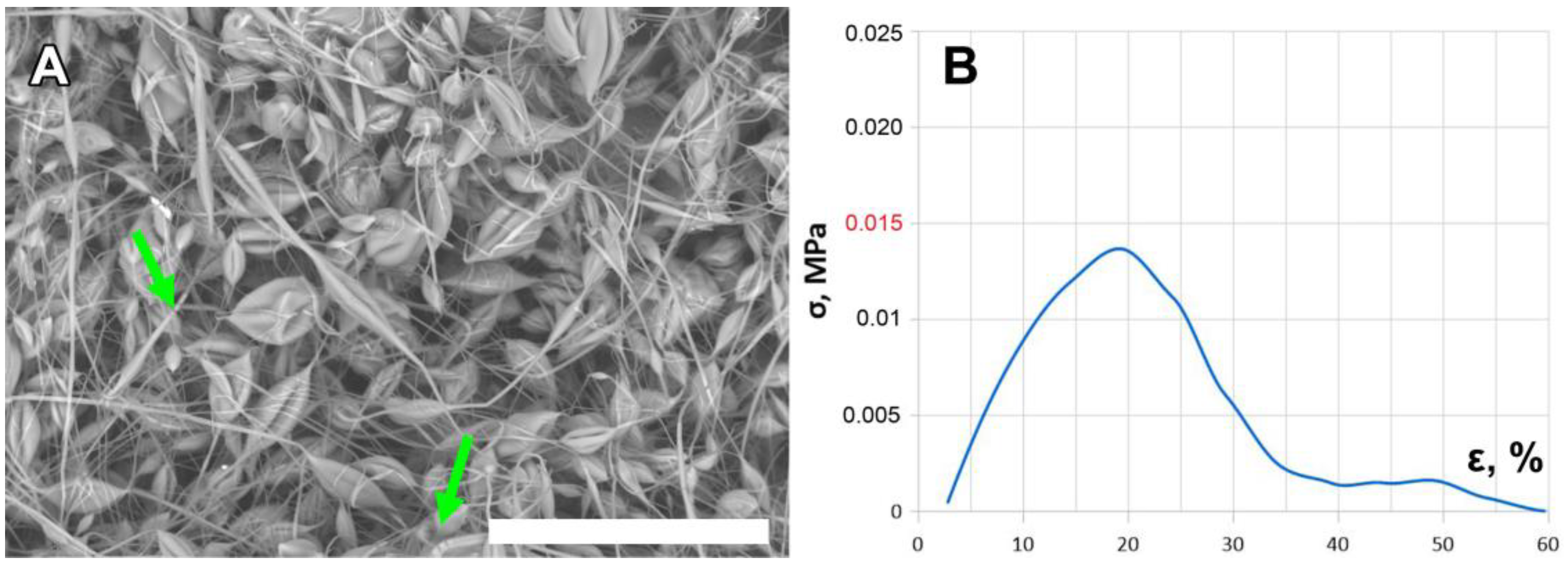 Ijms 24 11092 g003 Ijms 24 11092 g003