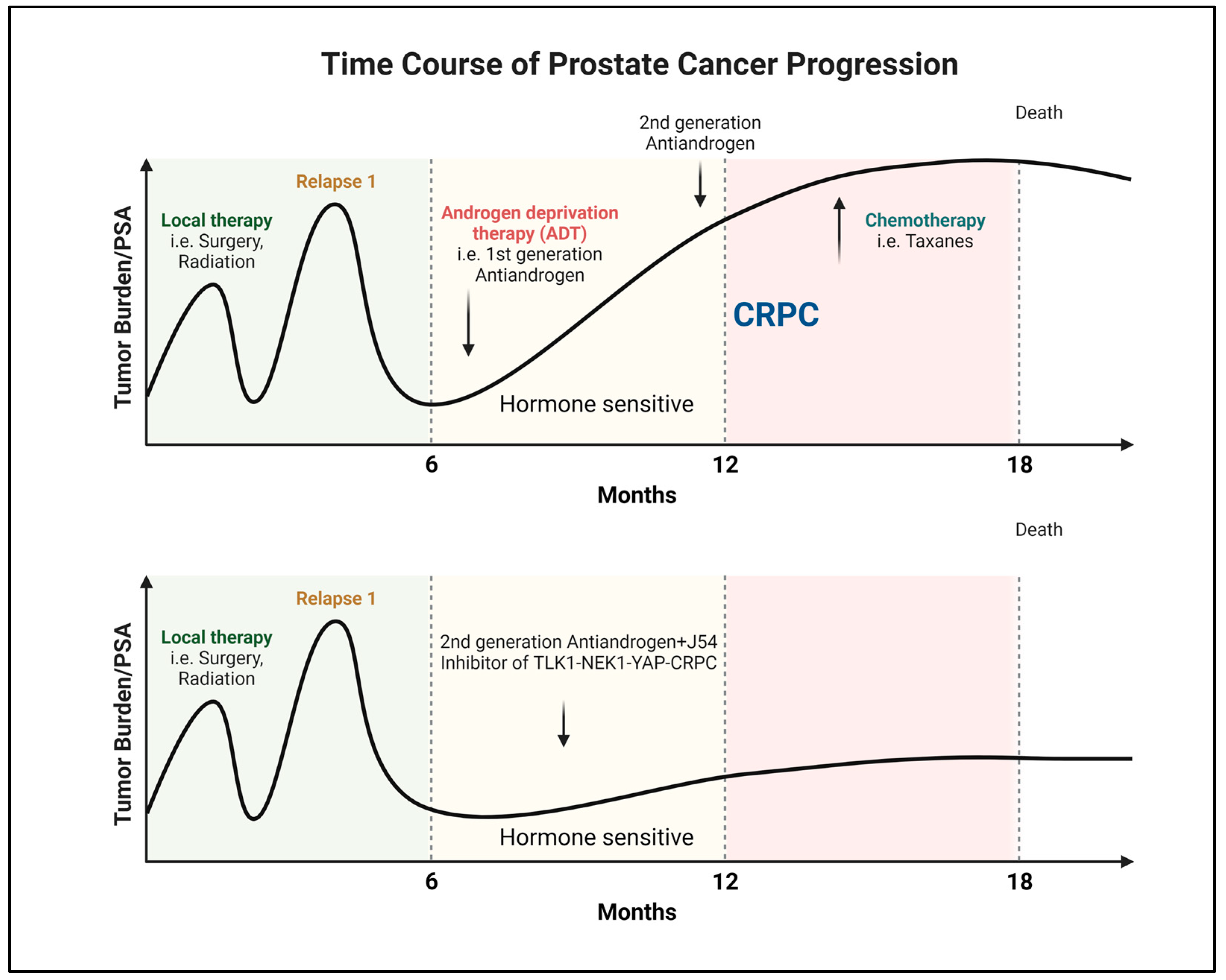 Ijms 24 11100 g001 Ijms 24 11100 g001