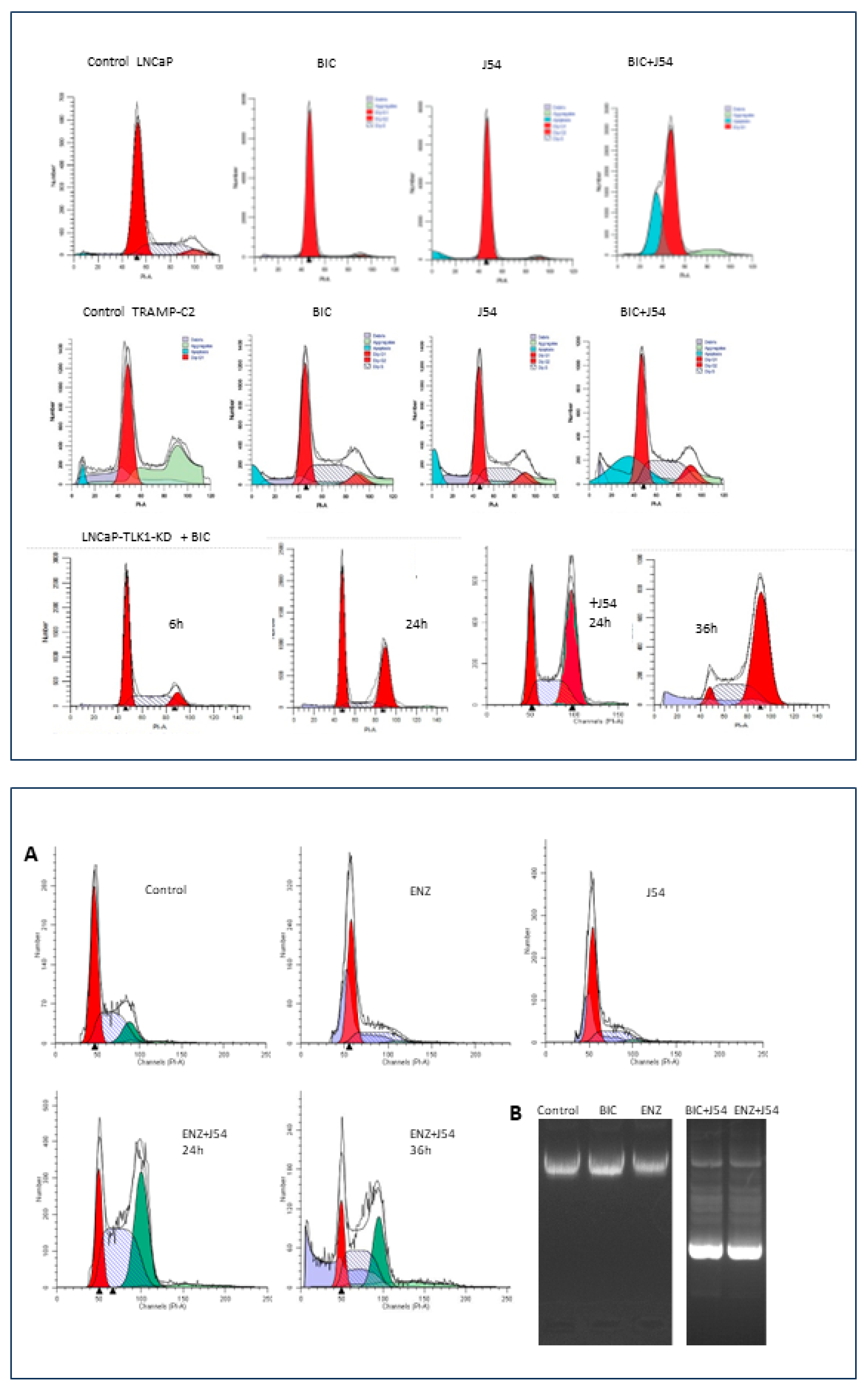 Ijms 24 11100 g003 Ijms 24 11100 g003