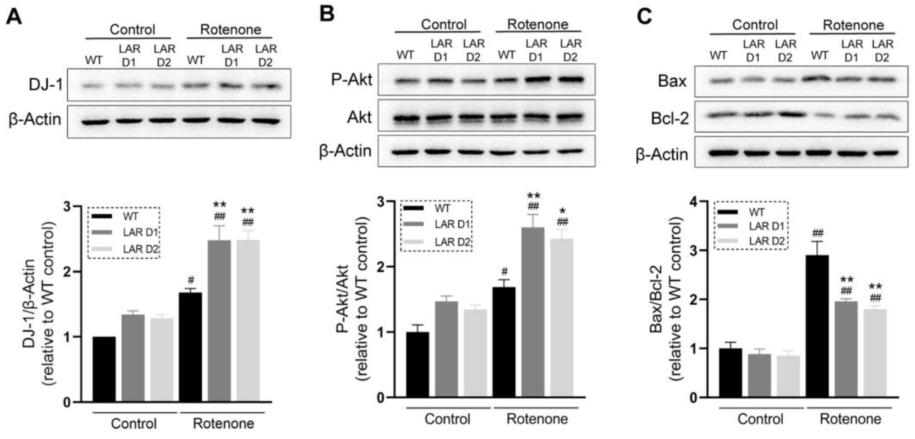 Ijms 24 11111 g002 Ijms 24 11111 g002