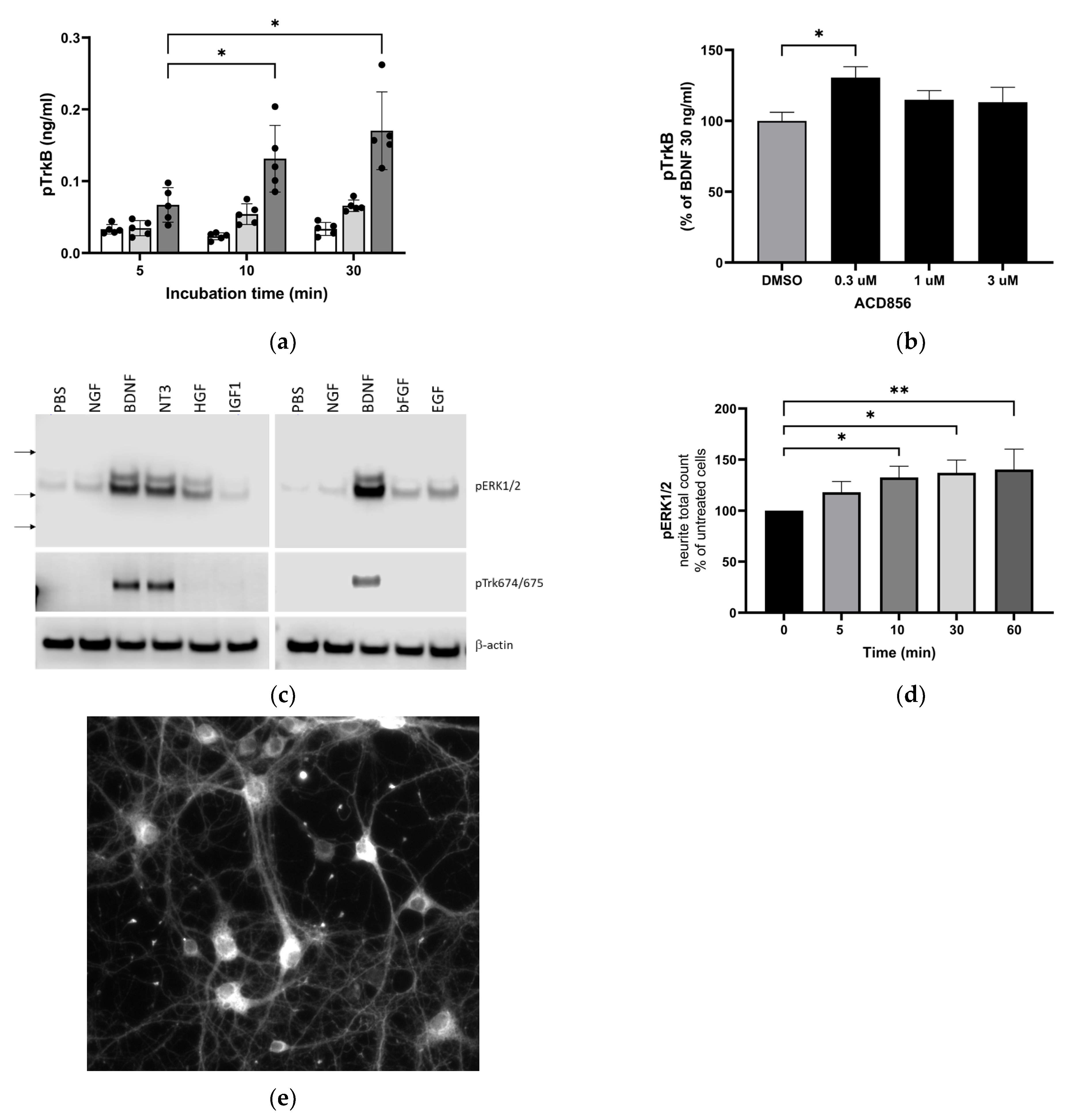 Ijms 24 11159 g002 Ijms 24 11159 g002