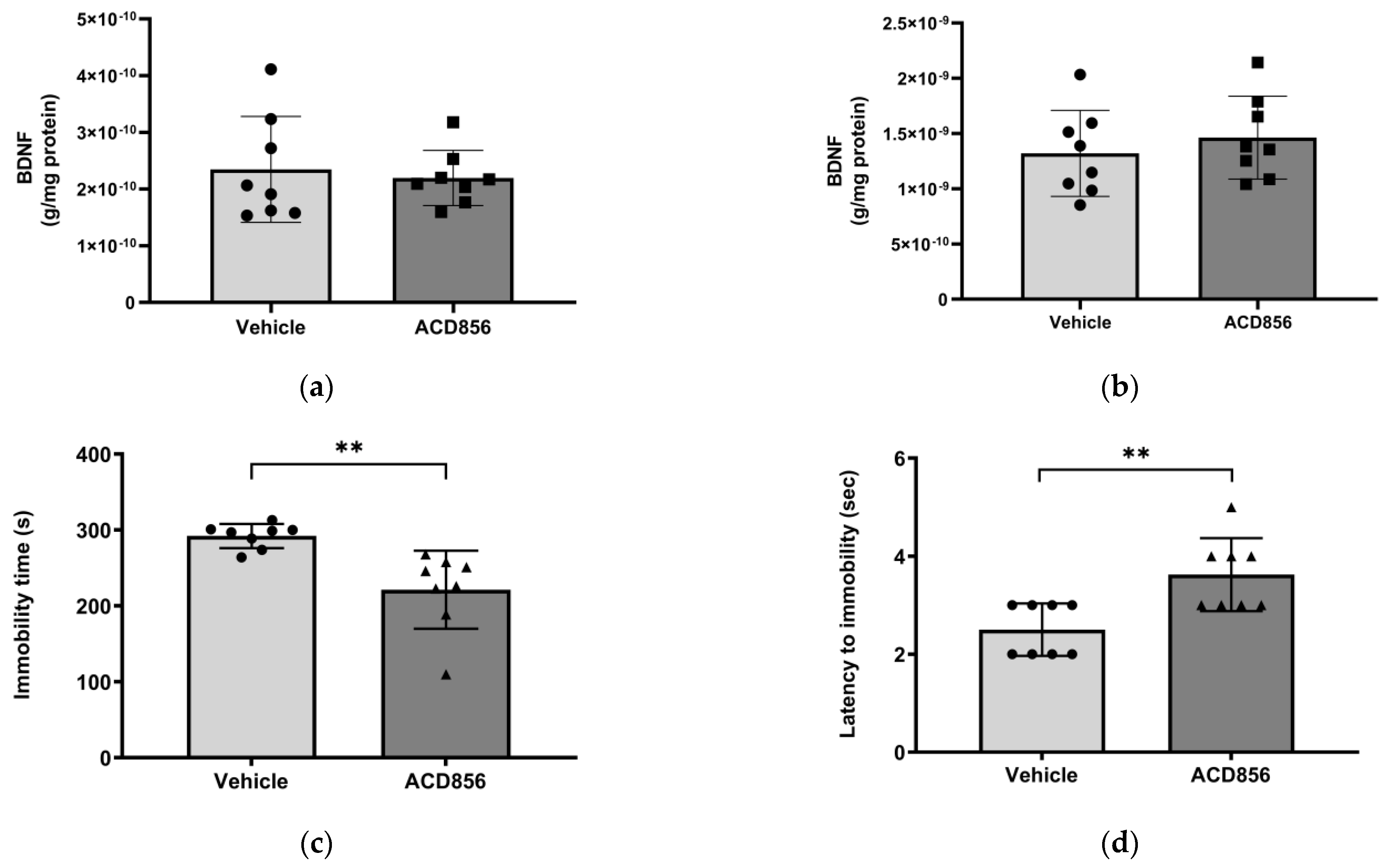 Ijms 24 11159 g006 Ijms 24 11159 g006