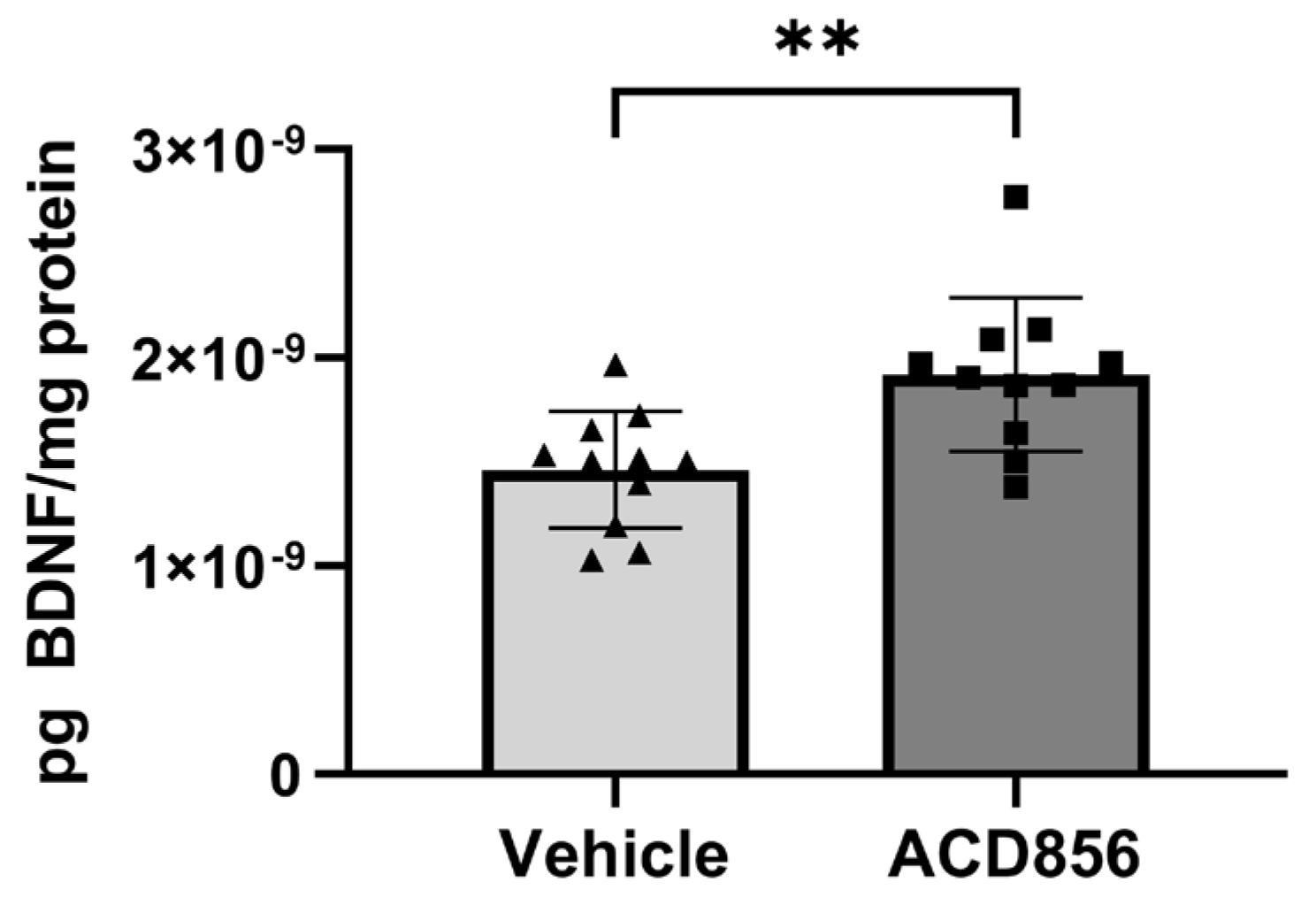 Ijms 24 11159 g007 Ijms 24 11159 g007