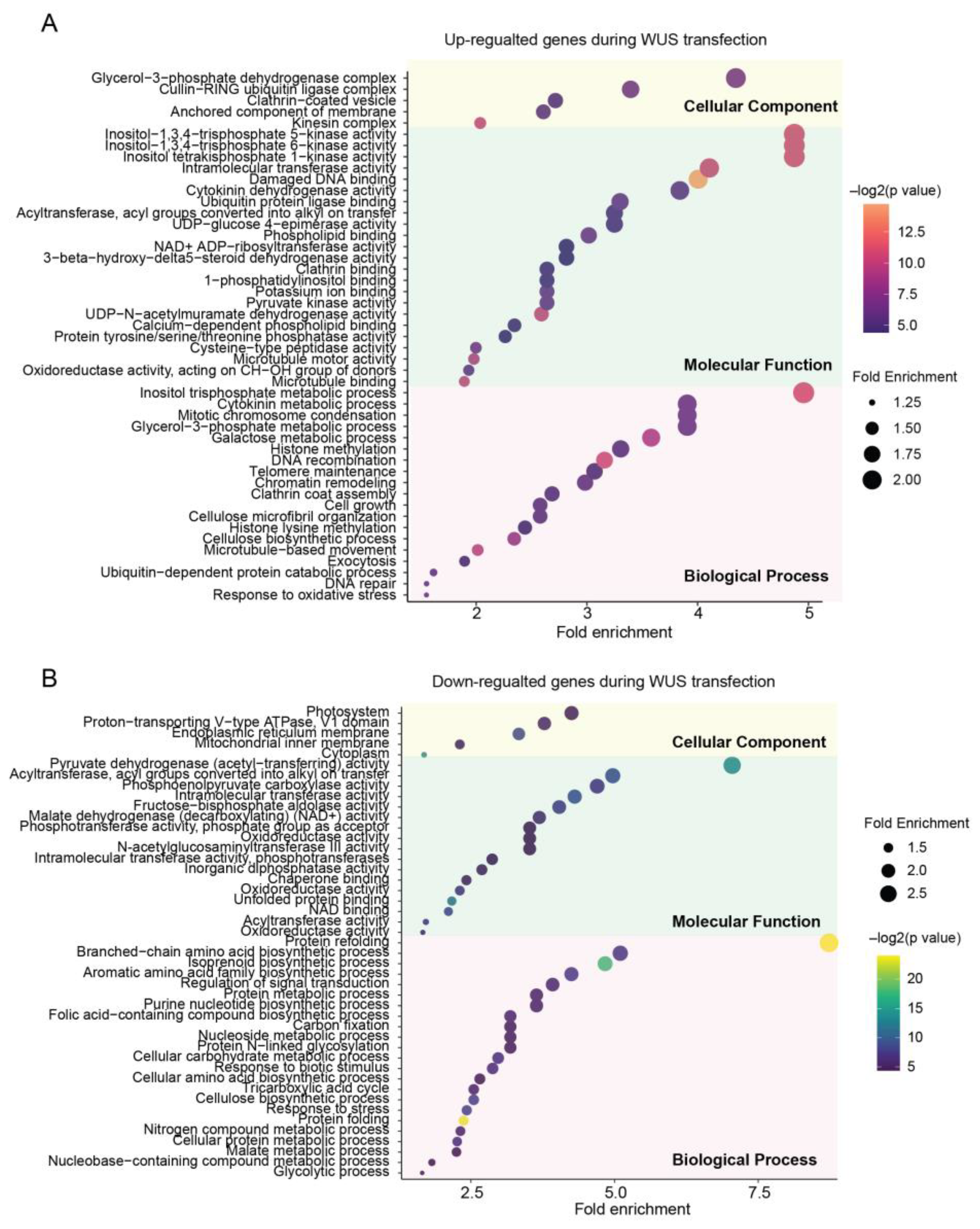 Ijms 24 11190 g003 Ijms 24 11190 g003