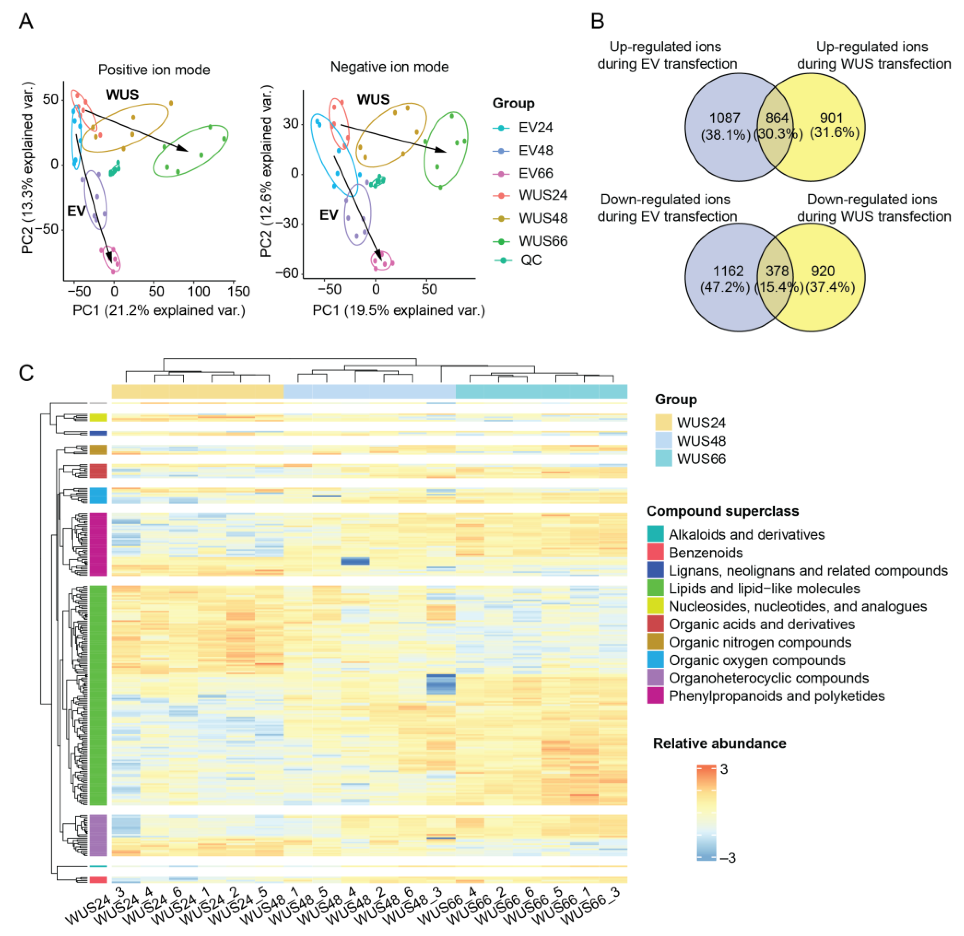 Ijms 24 11190 g004 Ijms 24 11190 g004
