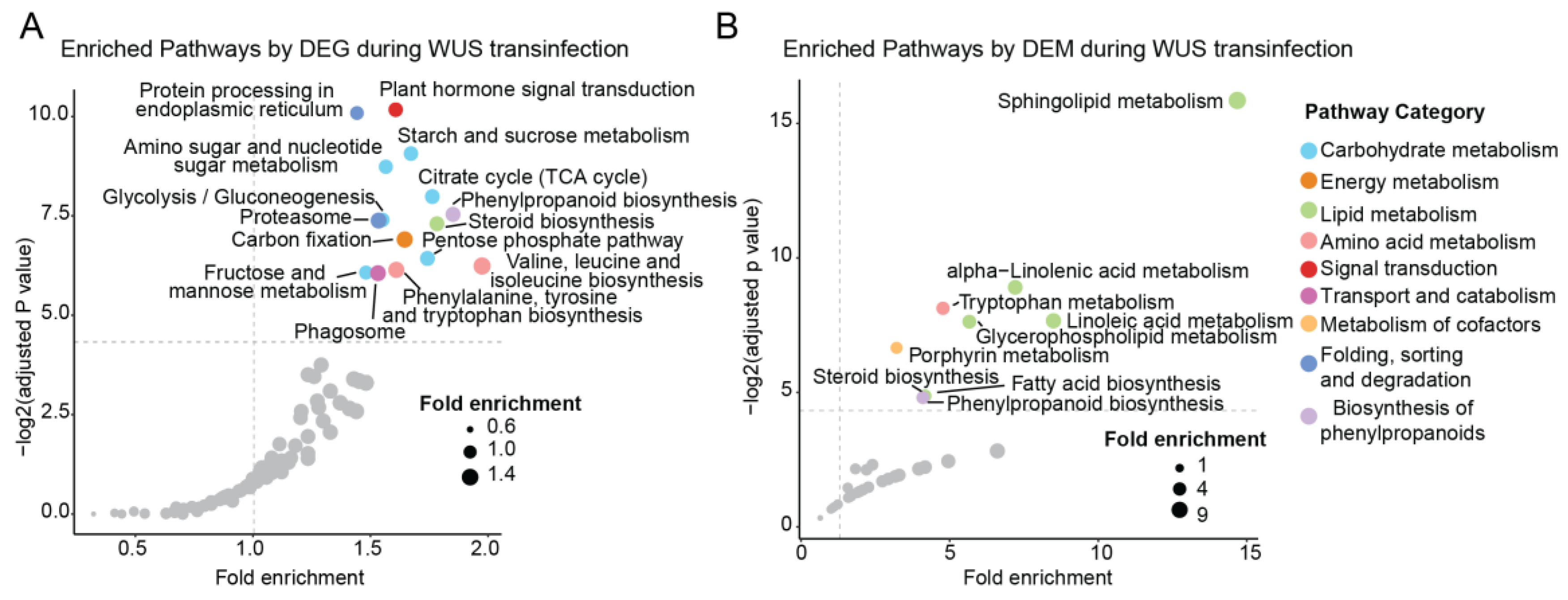 Ijms 24 11190 g006 Ijms 24 11190 g006