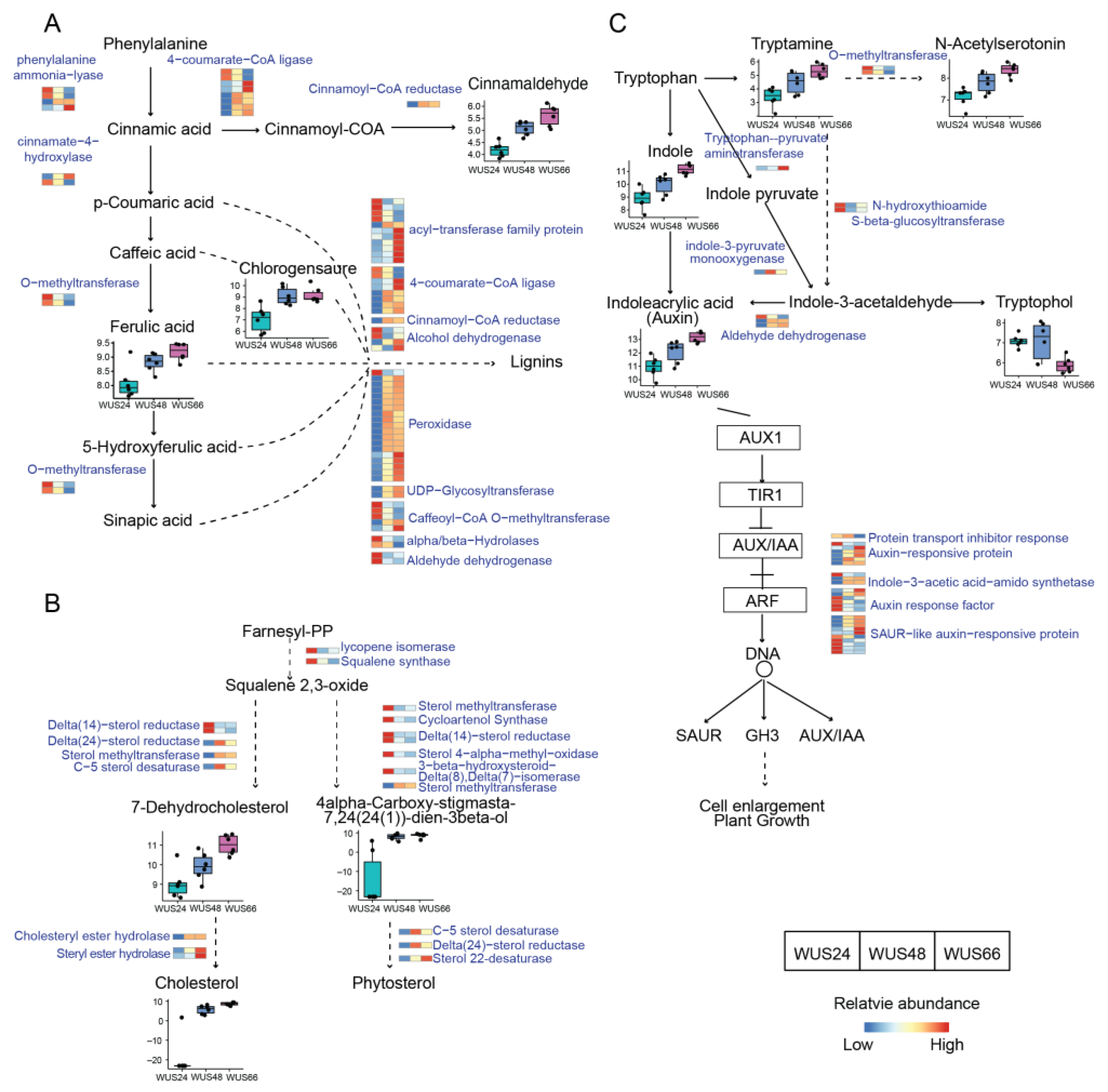 Ijms 24 11190 g007 Ijms 24 11190 g007