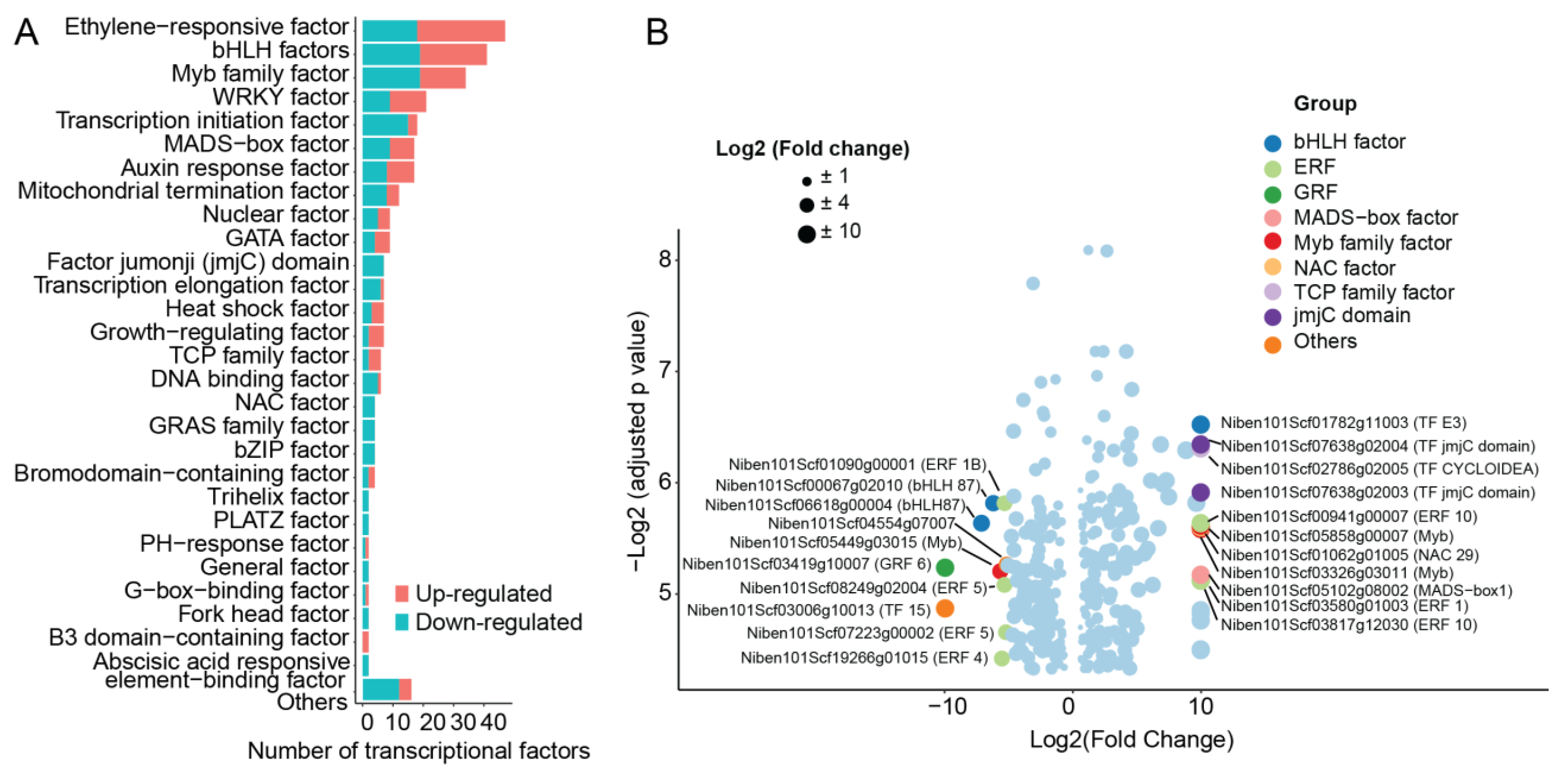 Ijms 24 11190 g008 Ijms 24 11190 g008