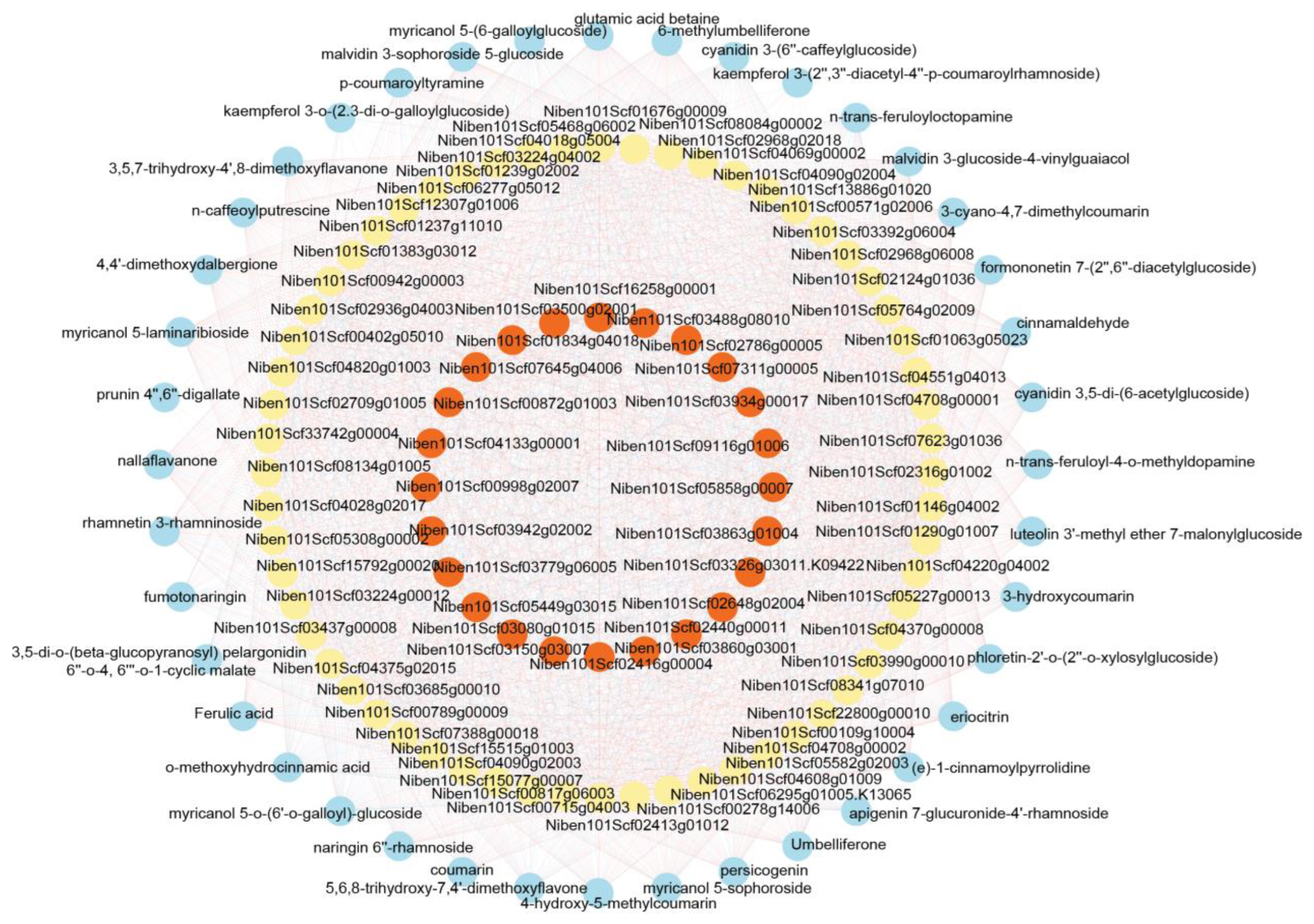 Ijms 24 11190 g009 Ijms 24 11190 g009