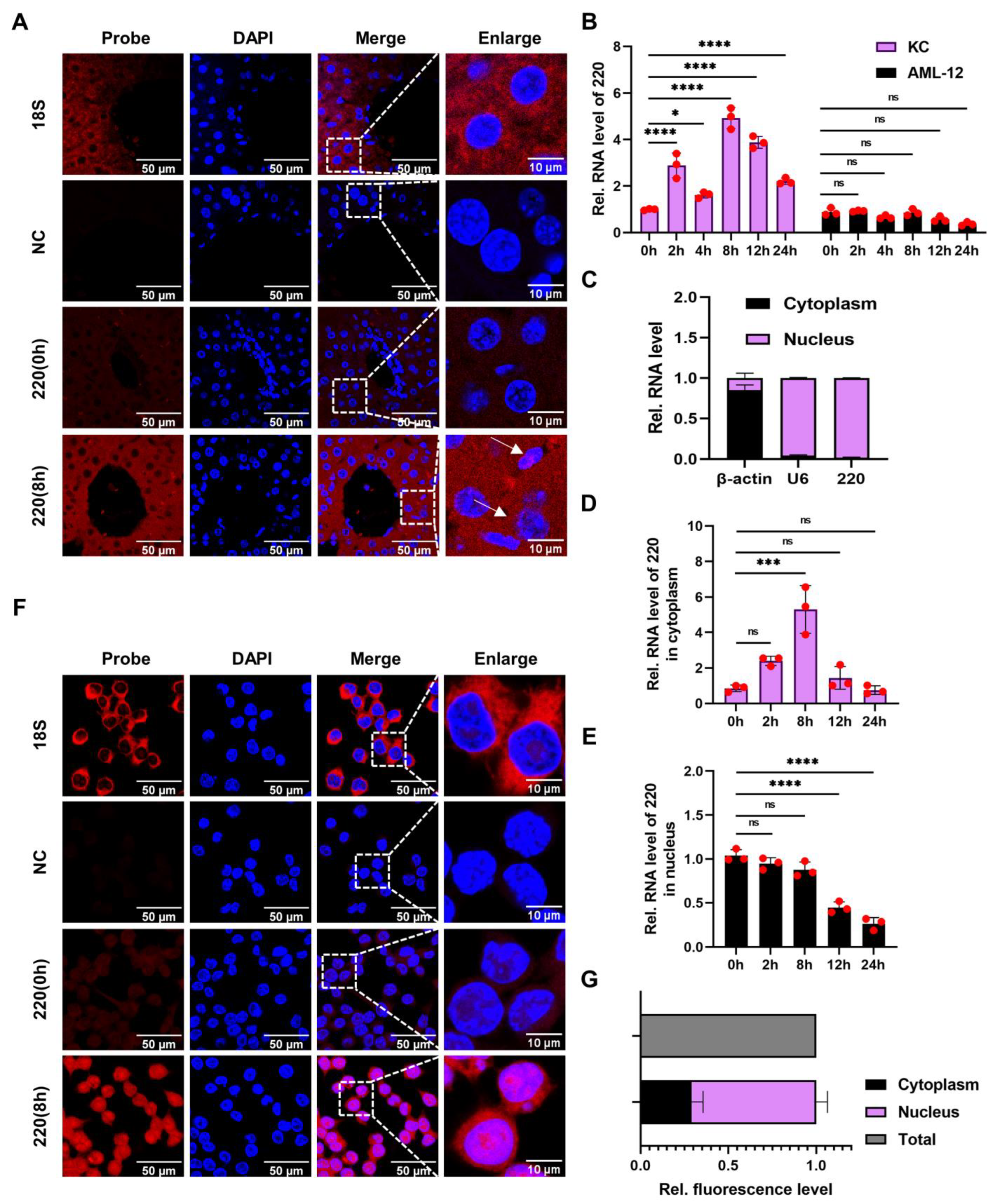 Ijms 24 11210 g002 Ijms 24 11210 g002