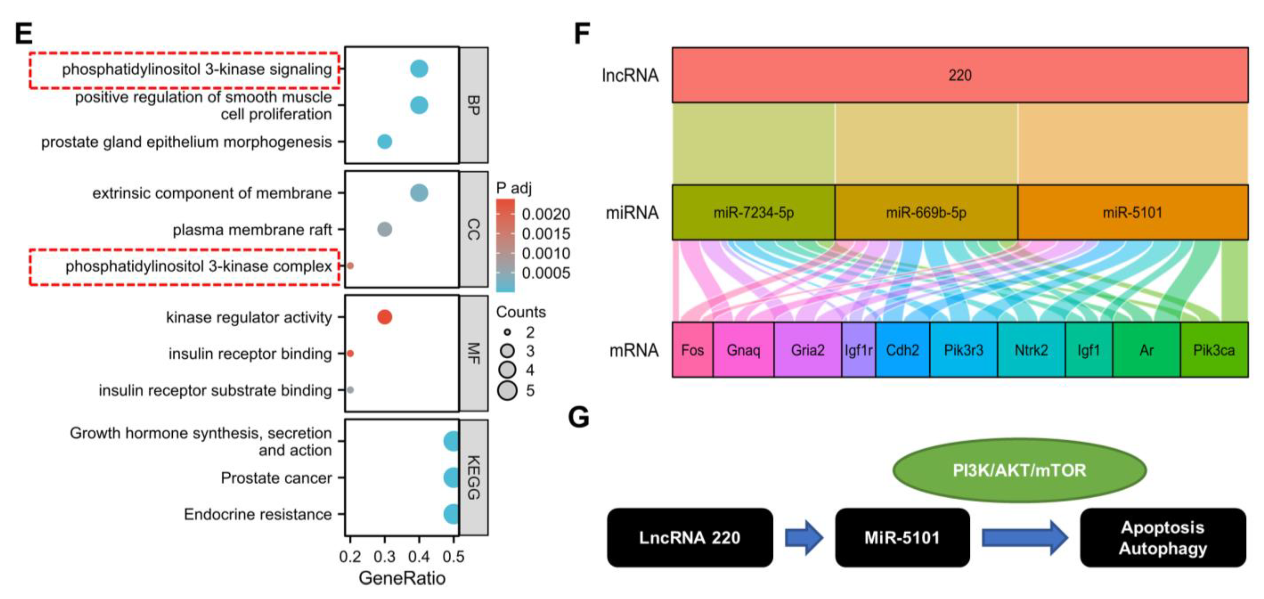 Ijms 24 11210 g003b Ijms 24 11210 g003b