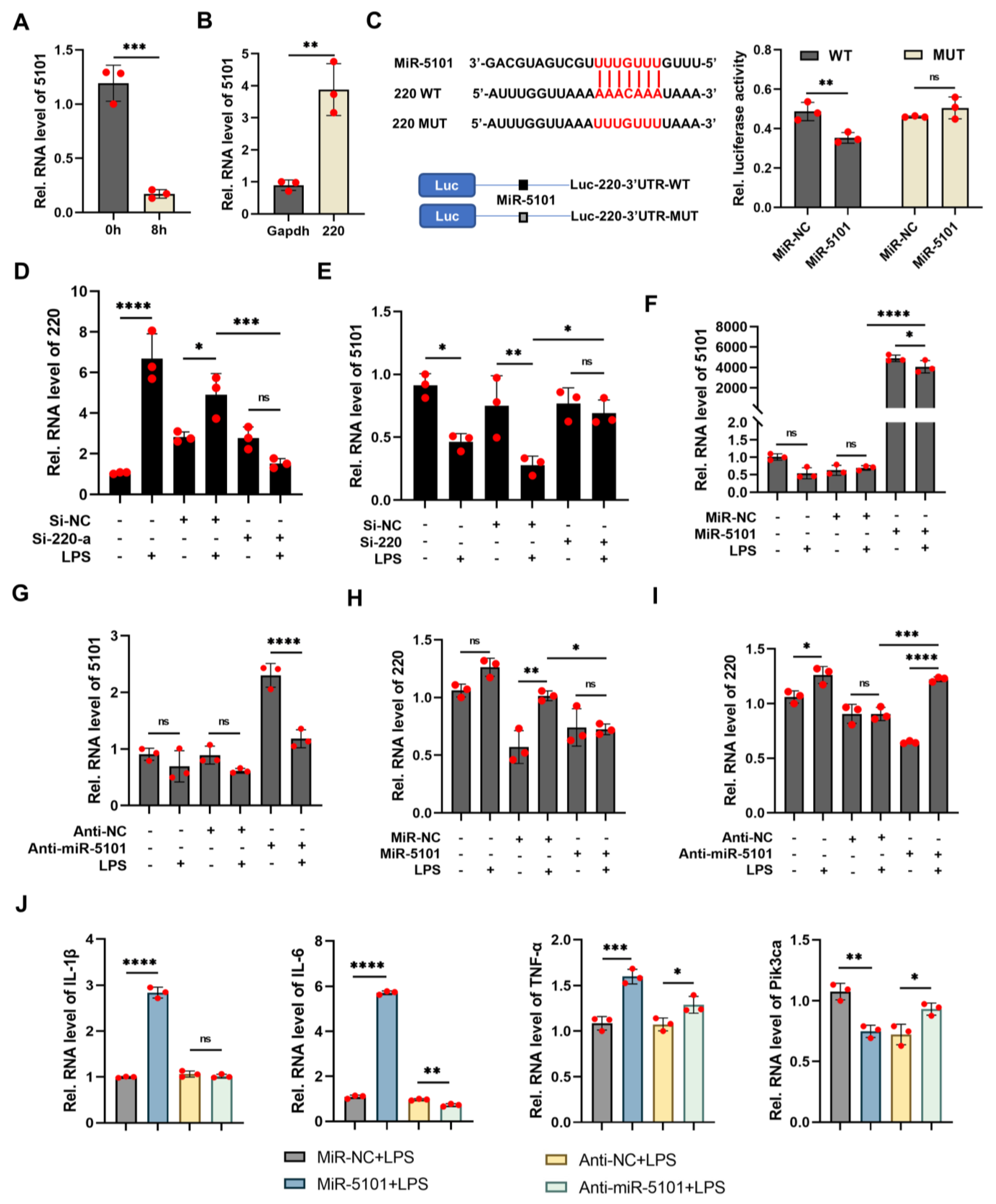 Ijms 24 11210 g004 Ijms 24 11210 g004