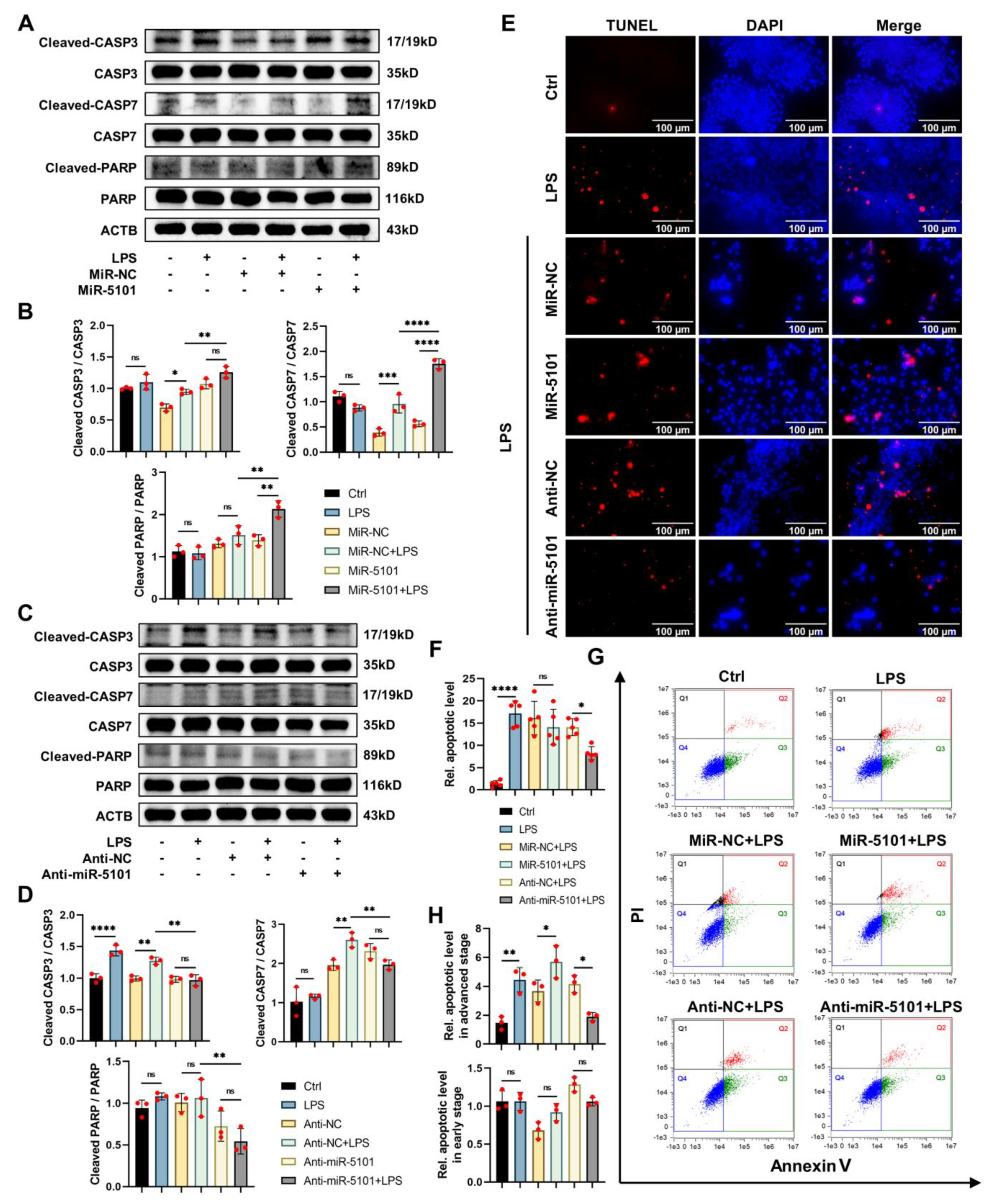 Ijms 24 11210 g006 Ijms 24 11210 g006
