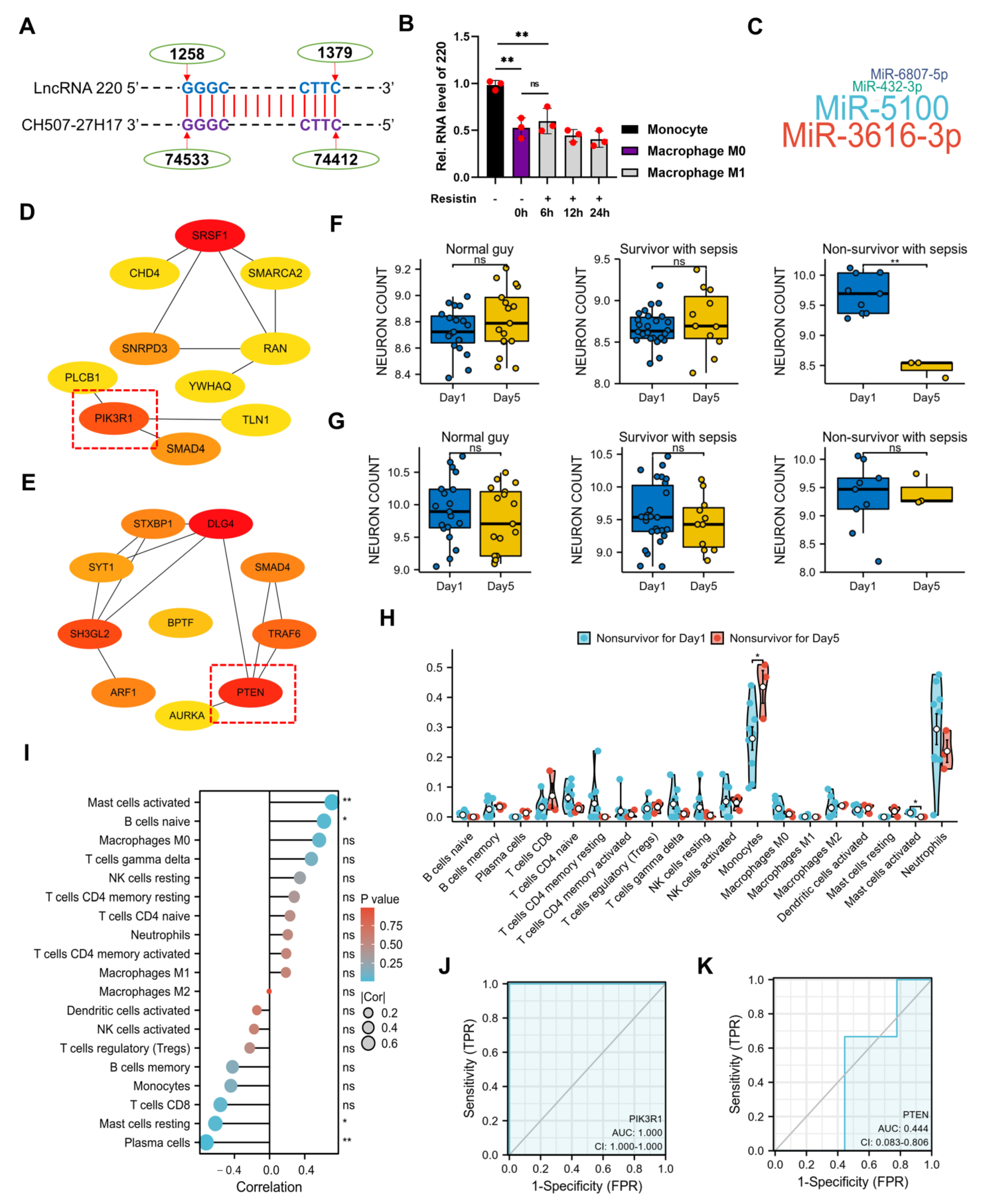 Ijms 24 11210 g007 Ijms 24 11210 g007