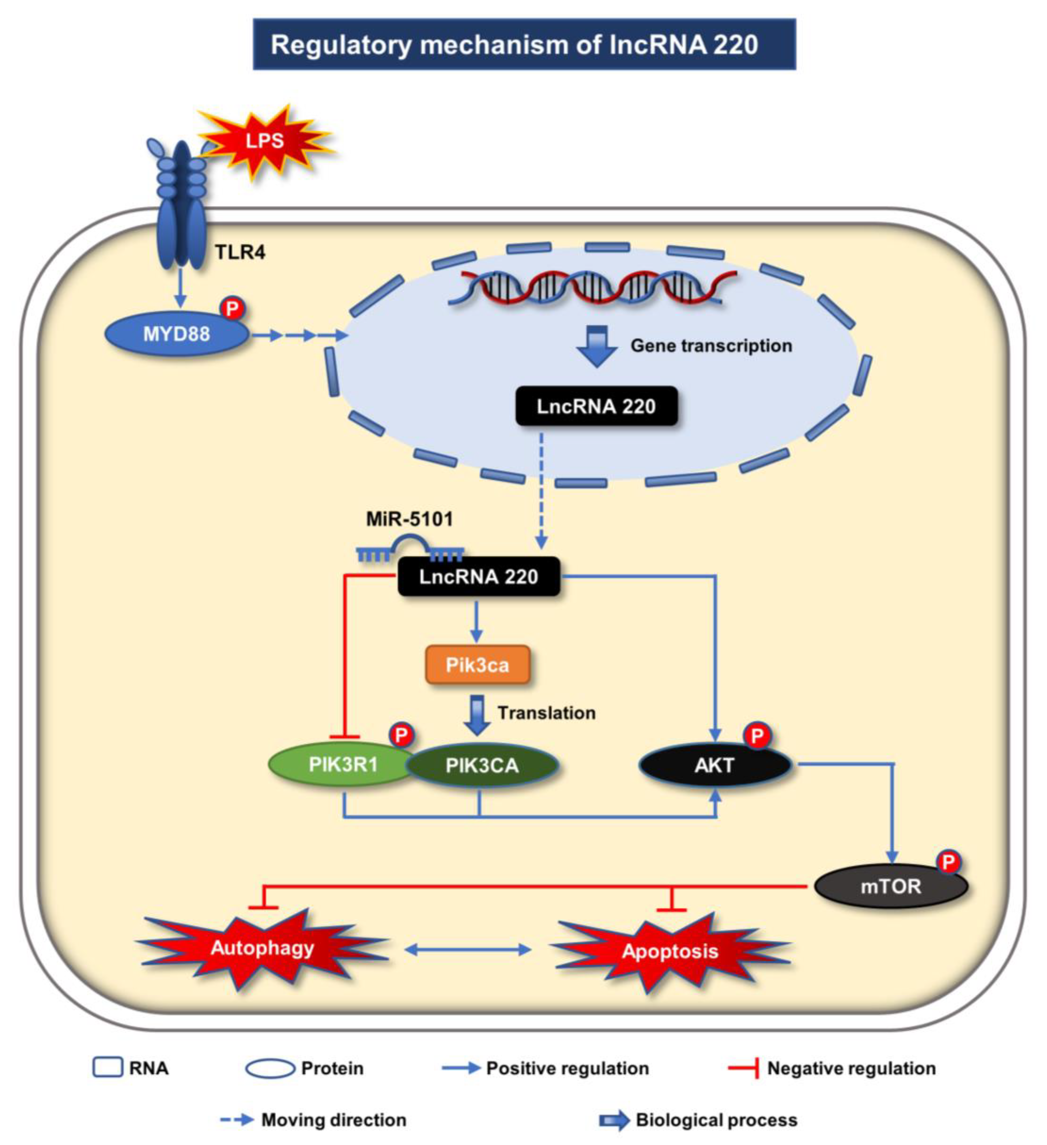 Ijms 24 11210 g008 Ijms 24 11210 g008