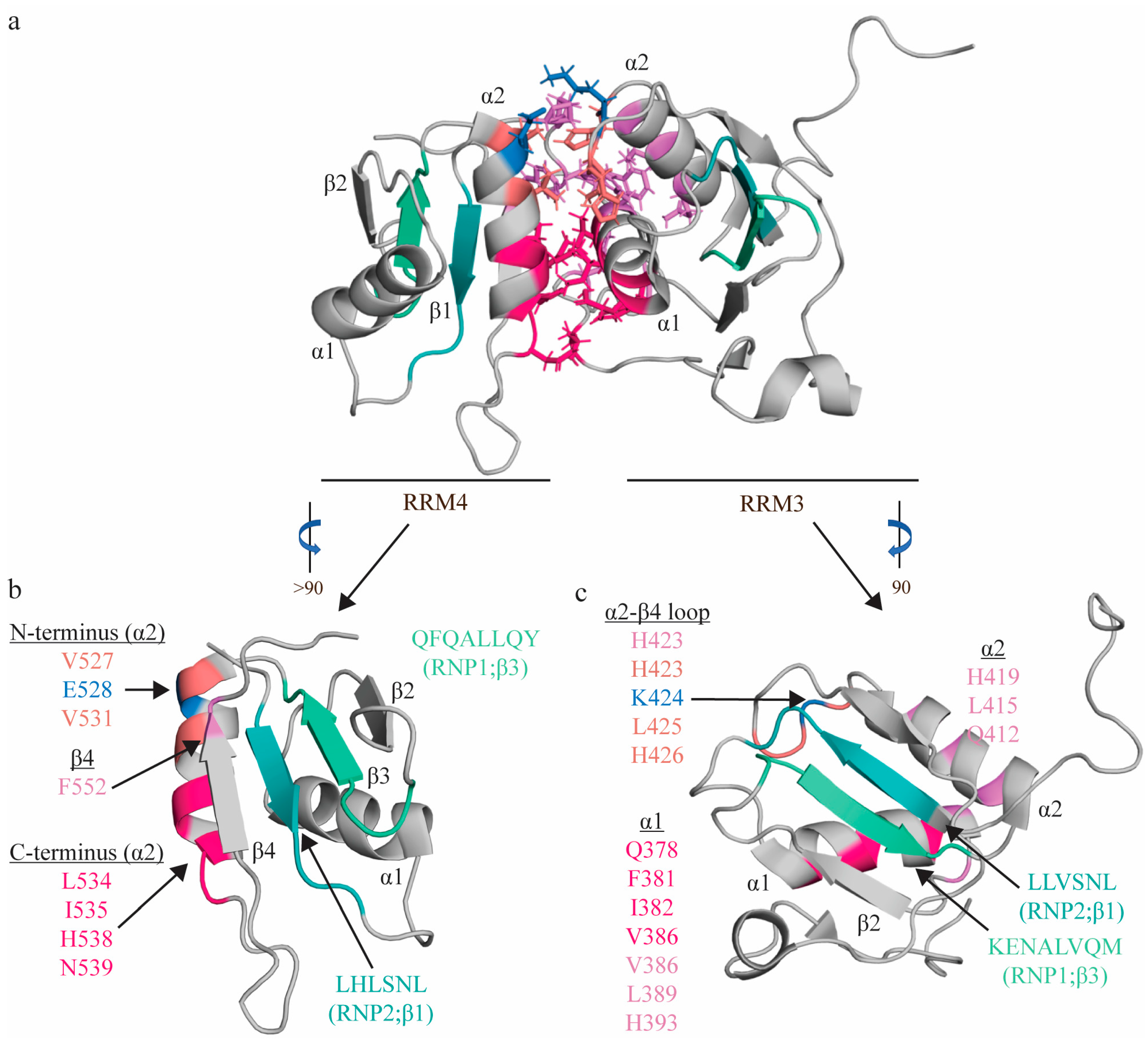Ijms 24 11218 g003 Ijms 24 11218 g003