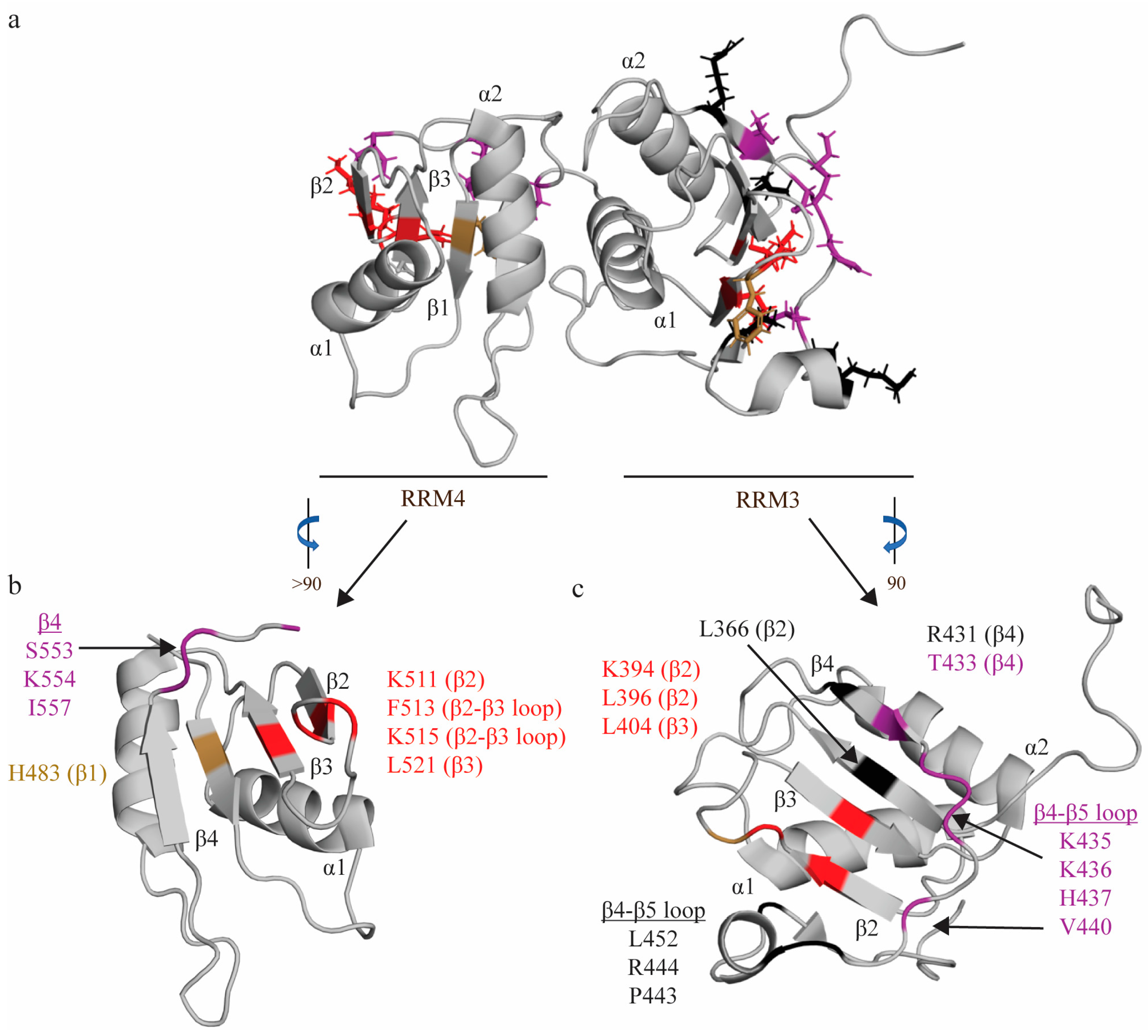 Ijms 24 11218 g004 Ijms 24 11218 g004