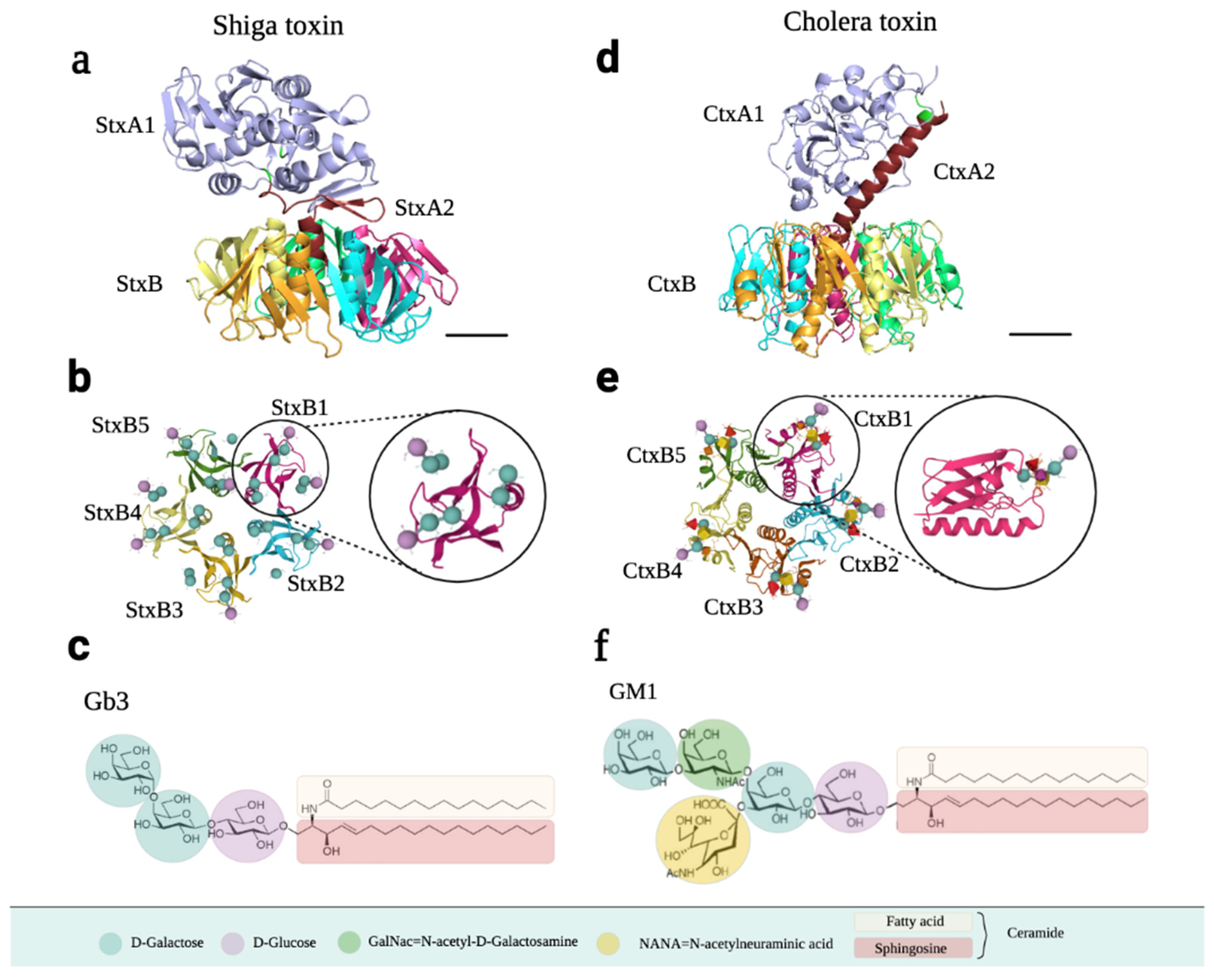 Ijms 24 11227 g007 Ijms 24 11227 g007
