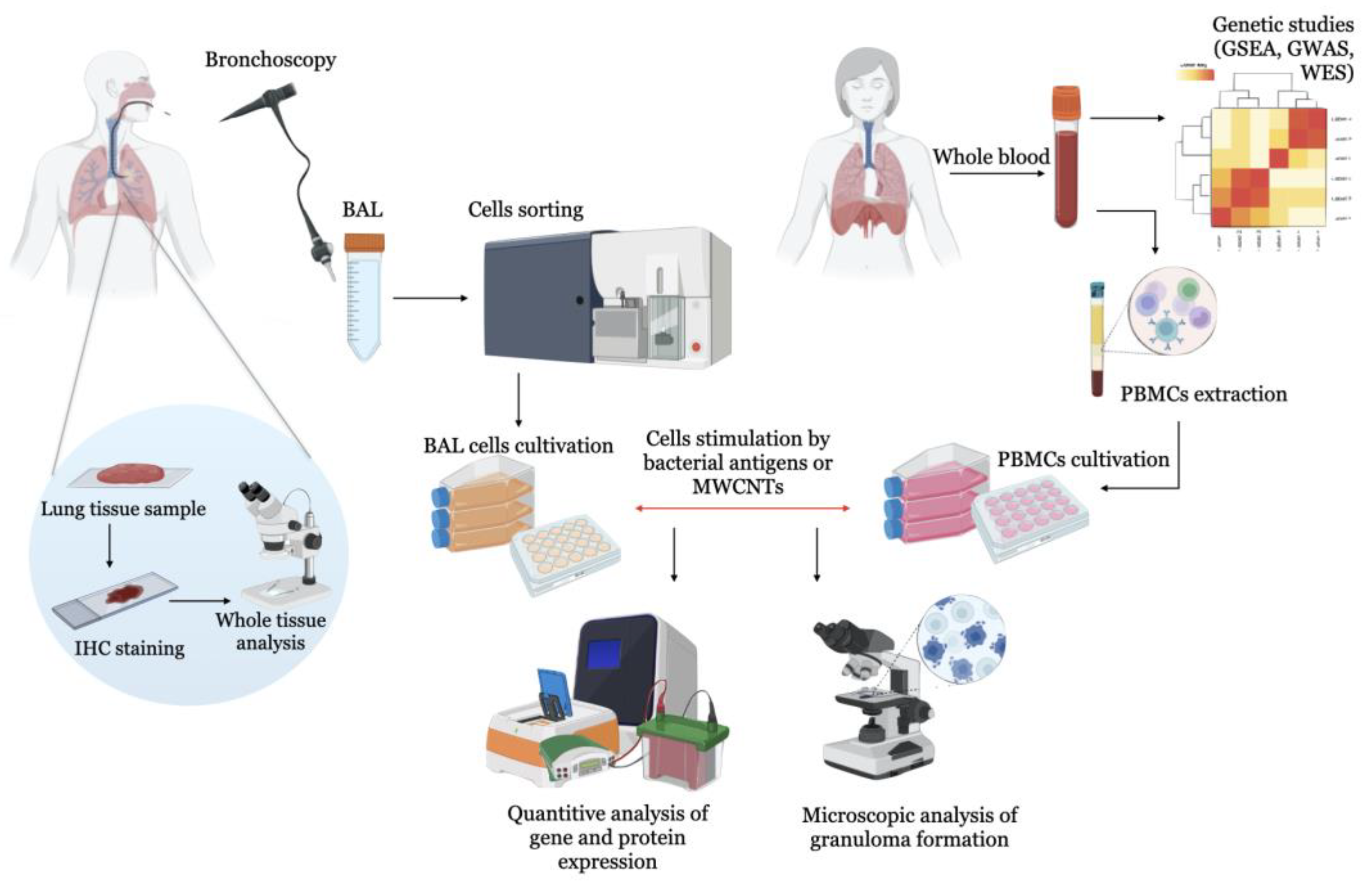 Ijms 24 11267 g001 Ijms 24 11267 g001