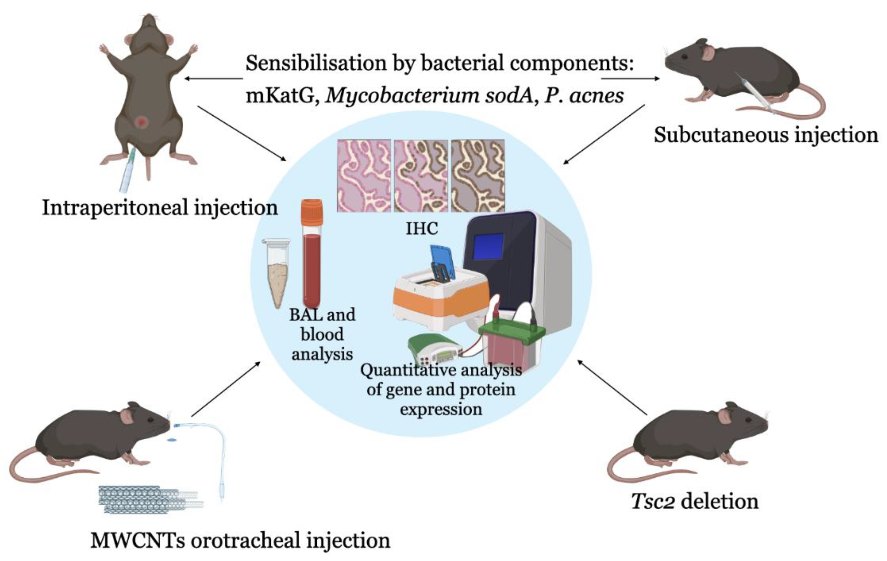 Ijms 24 11267 g002 Ijms 24 11267 g002