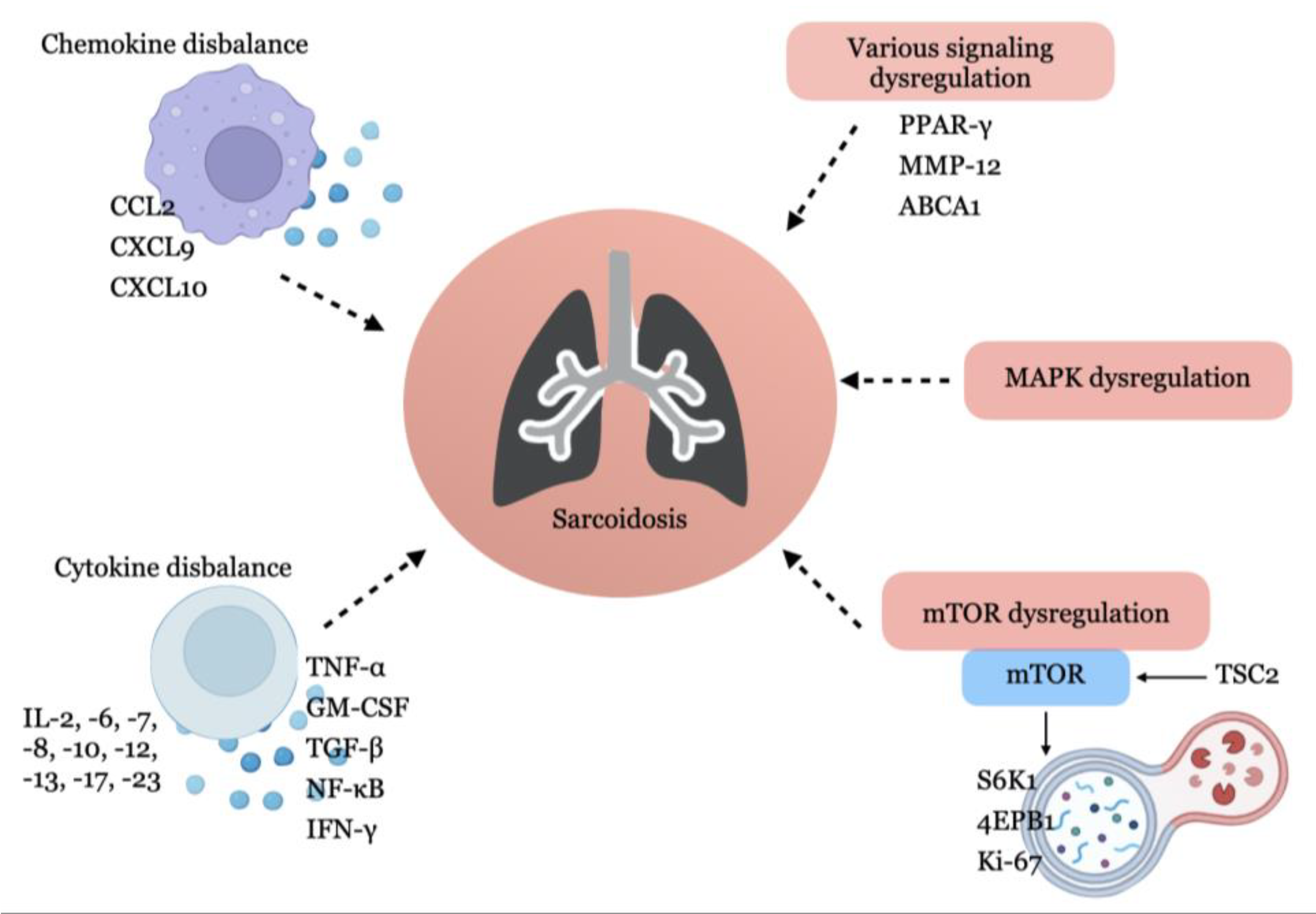 Ijms 24 11267 g003 Ijms 24 11267 g003