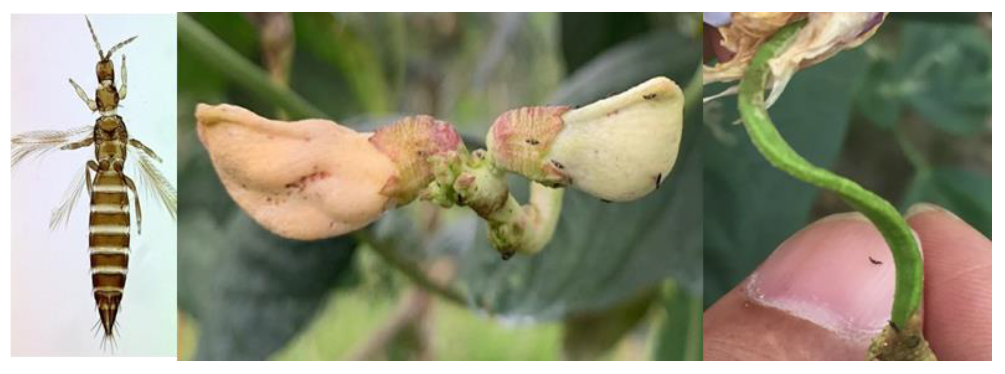 Ijms 24 11268 g001 Ijms 24 11268 g001