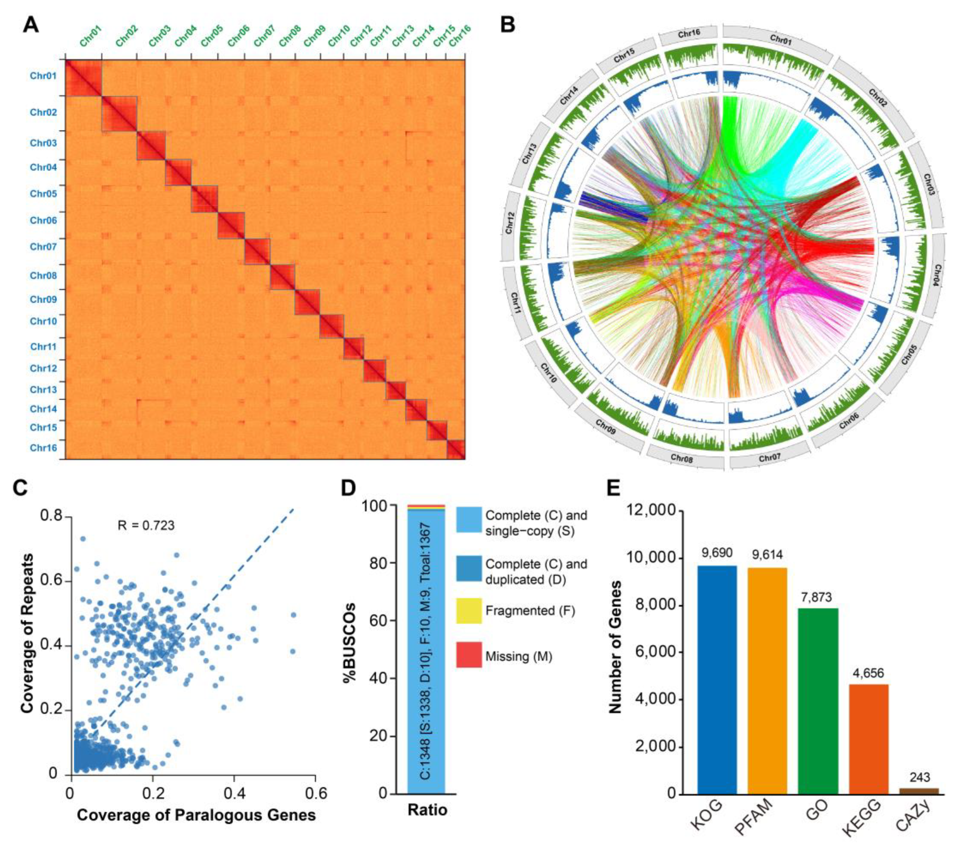 Ijms 24 11268 g002 Ijms 24 11268 g002
