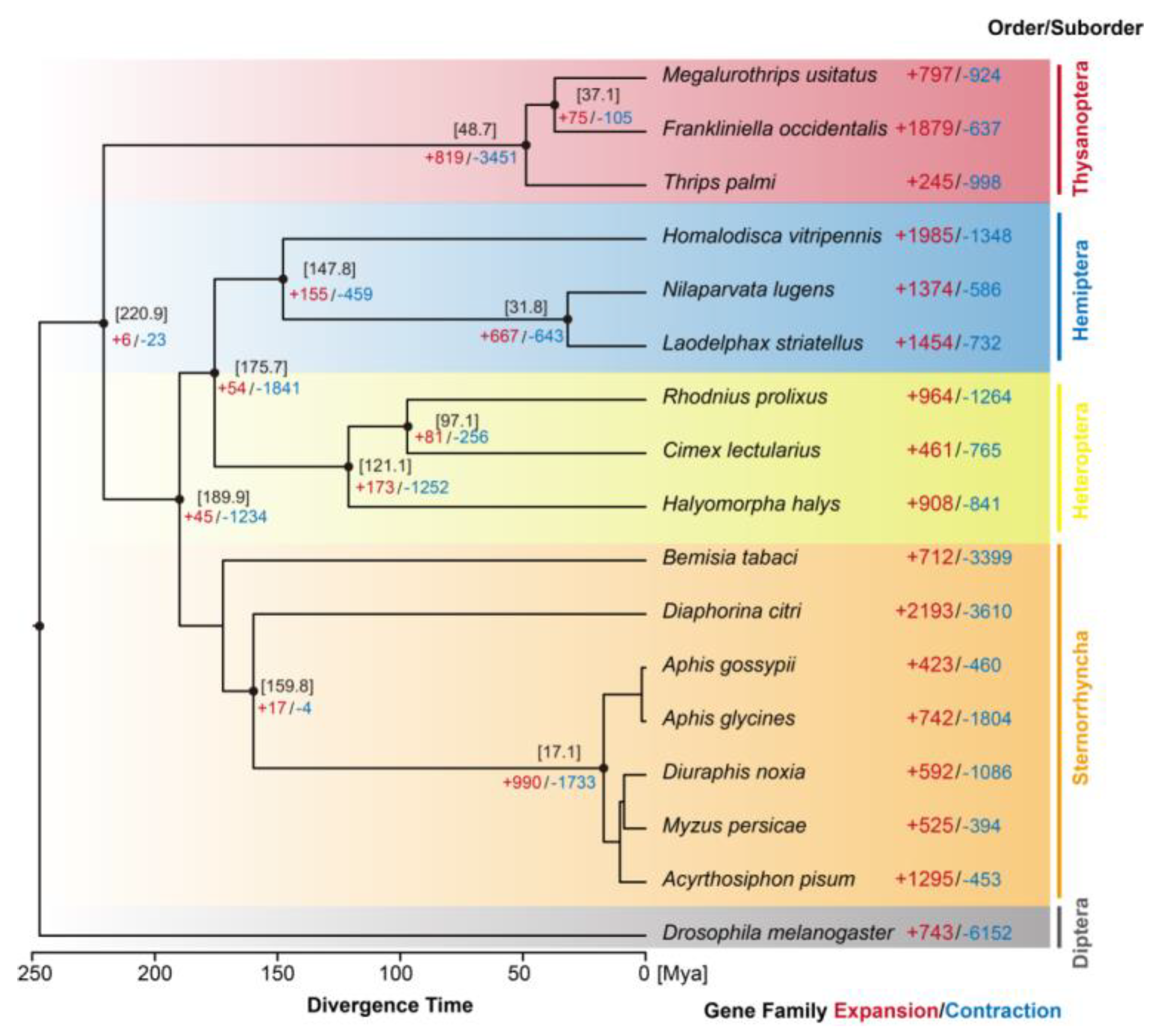 Ijms 24 11268 g006 Ijms 24 11268 g006
