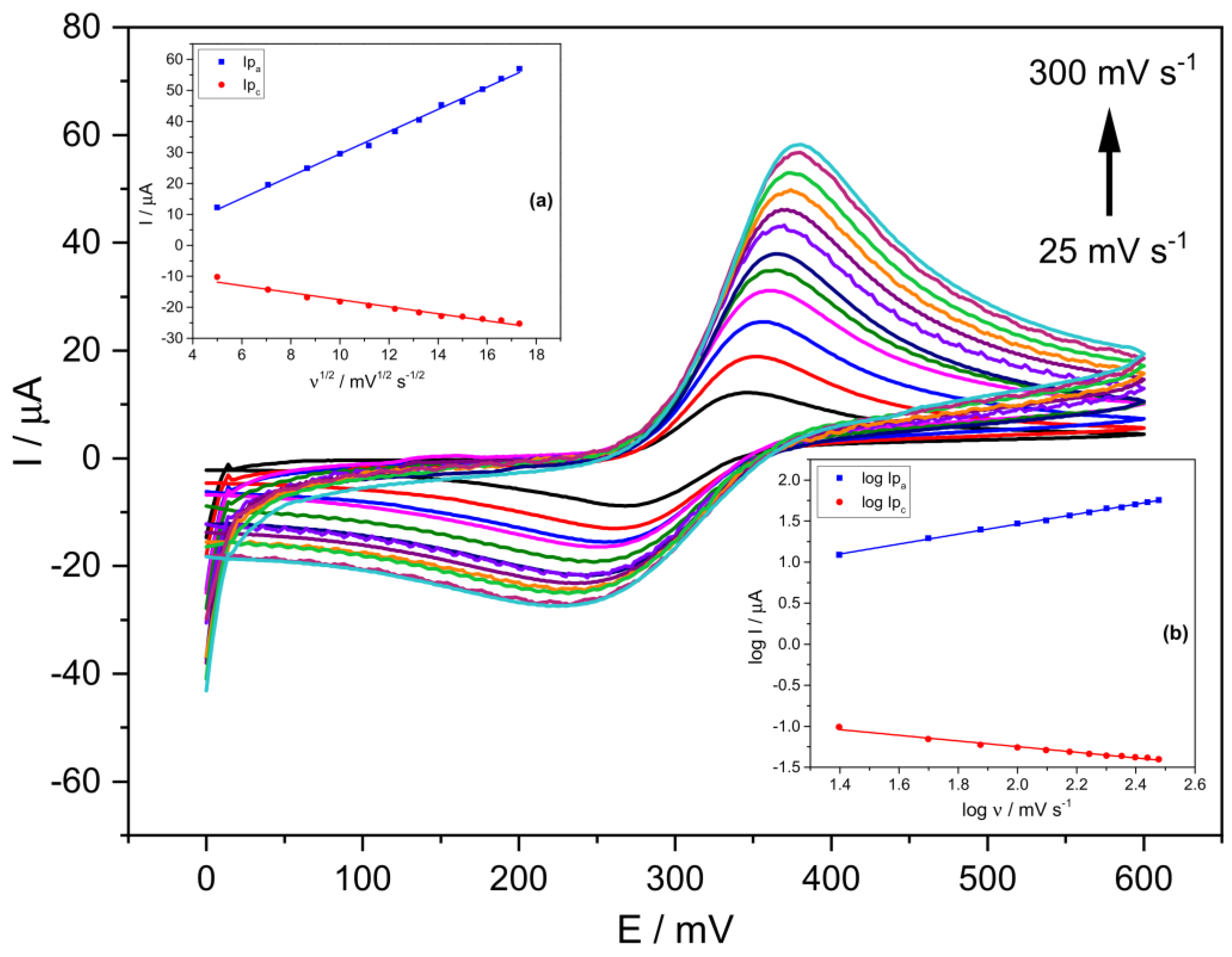 Ijms 24 11269 g002 Ijms 24 11269 g002