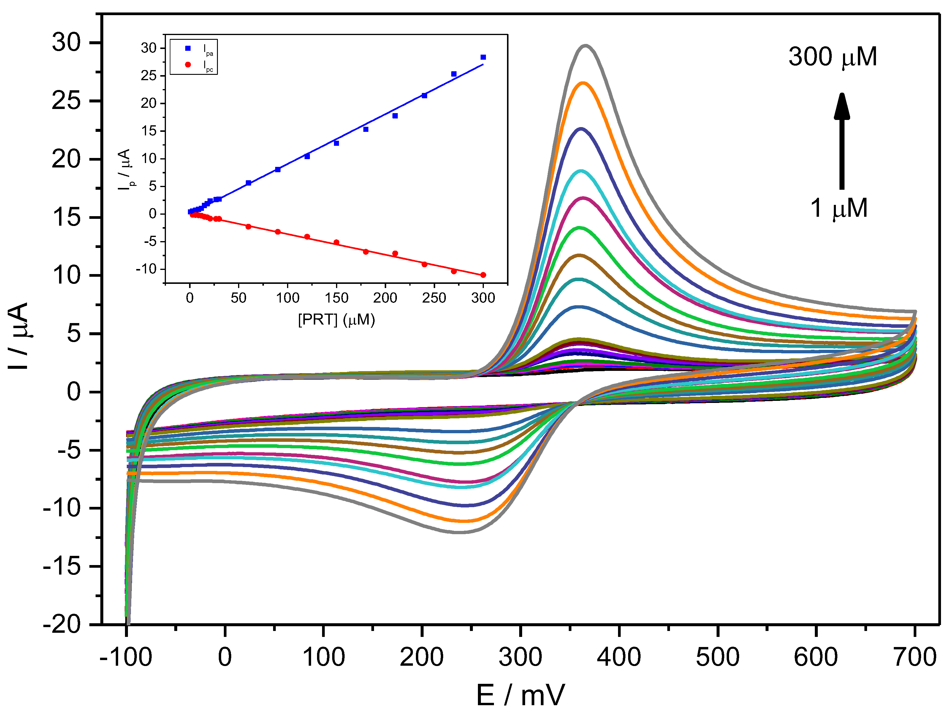 Ijms 24 11269 g004 Ijms 24 11269 g004