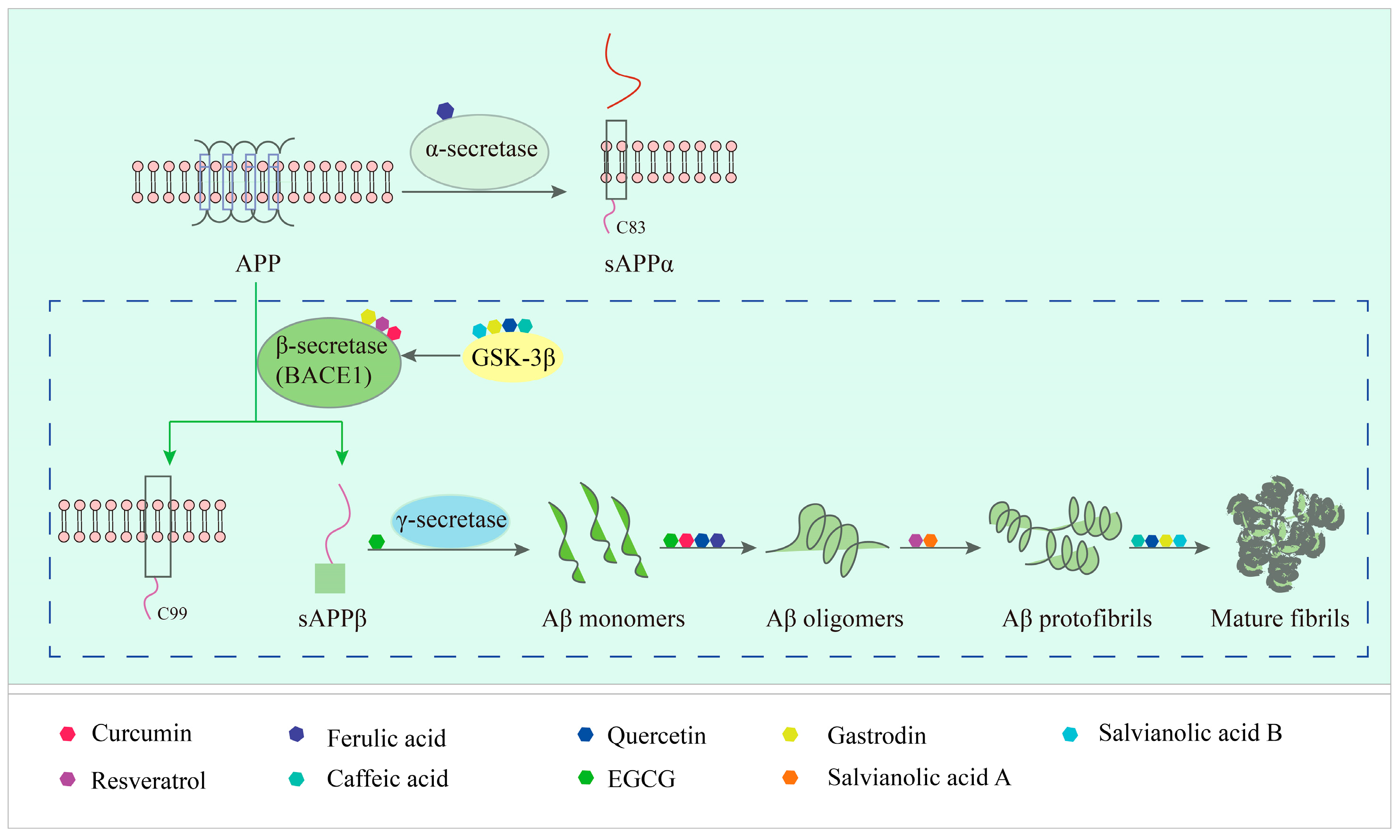 Ijms 24 11275 g001 Ijms 24 11275 g001