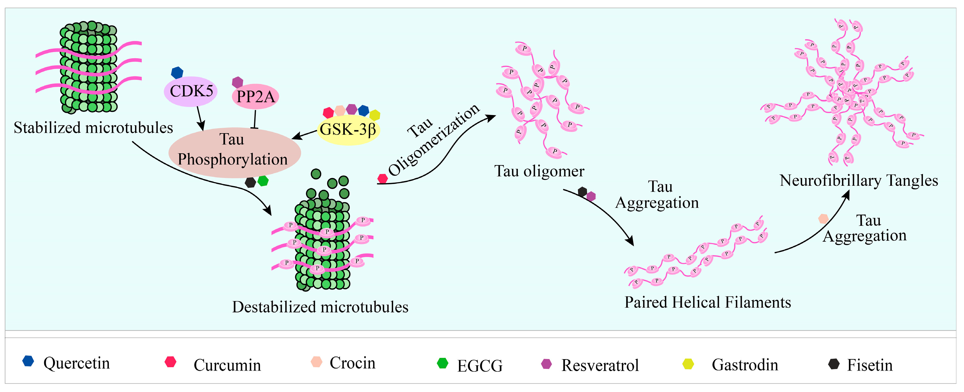 Ijms 24 11275 g002 Ijms 24 11275 g002