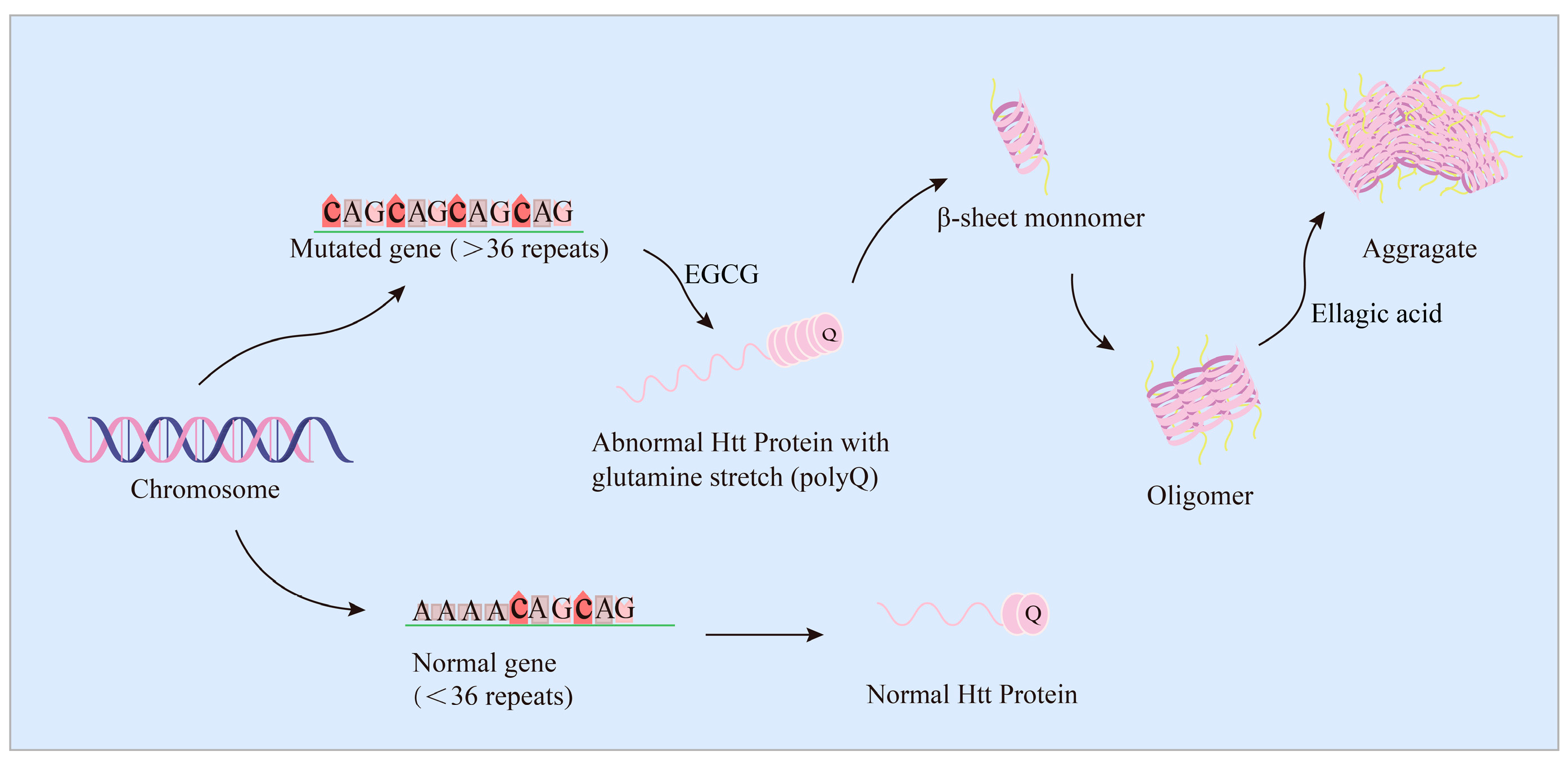 Ijms 24 11275 g004 Ijms 24 11275 g004
