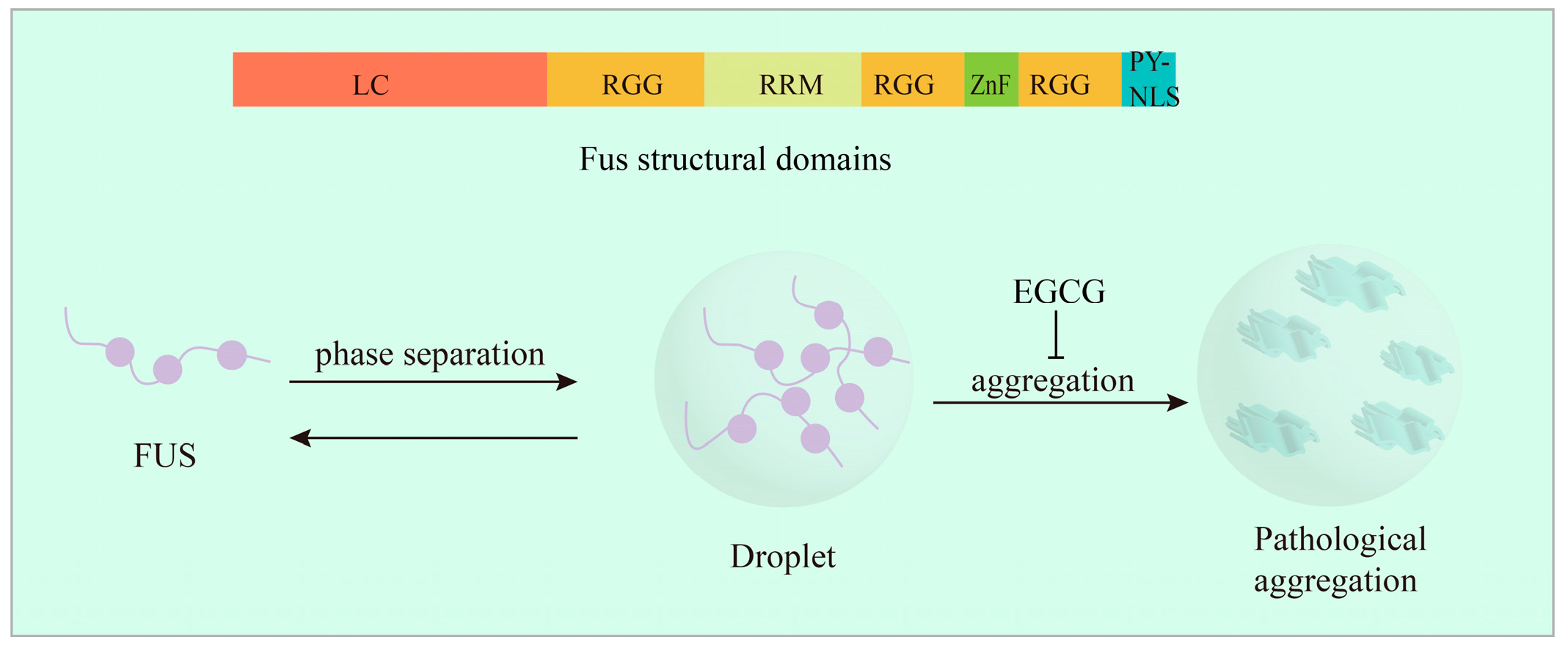 Ijms 24 11275 g005 Ijms 24 11275 g005