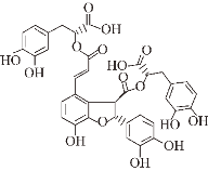 Ijms 24 11275 i008 Ijms 24 11275 i008