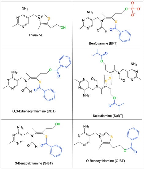 Ijms 24 11296 g001 Ijms 24 11296 g001