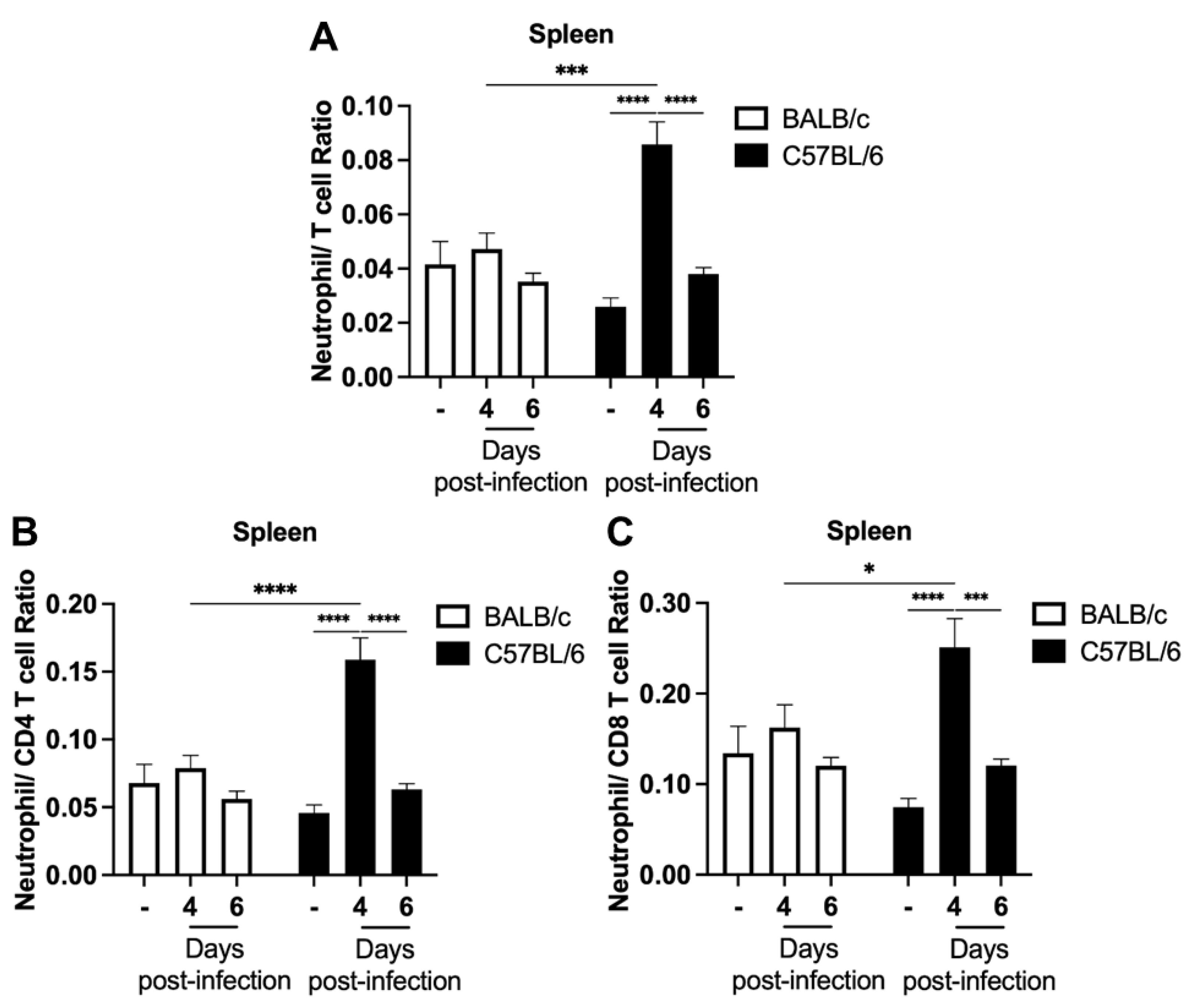 Ijms 24 11332 g003 Ijms 24 11332 g003