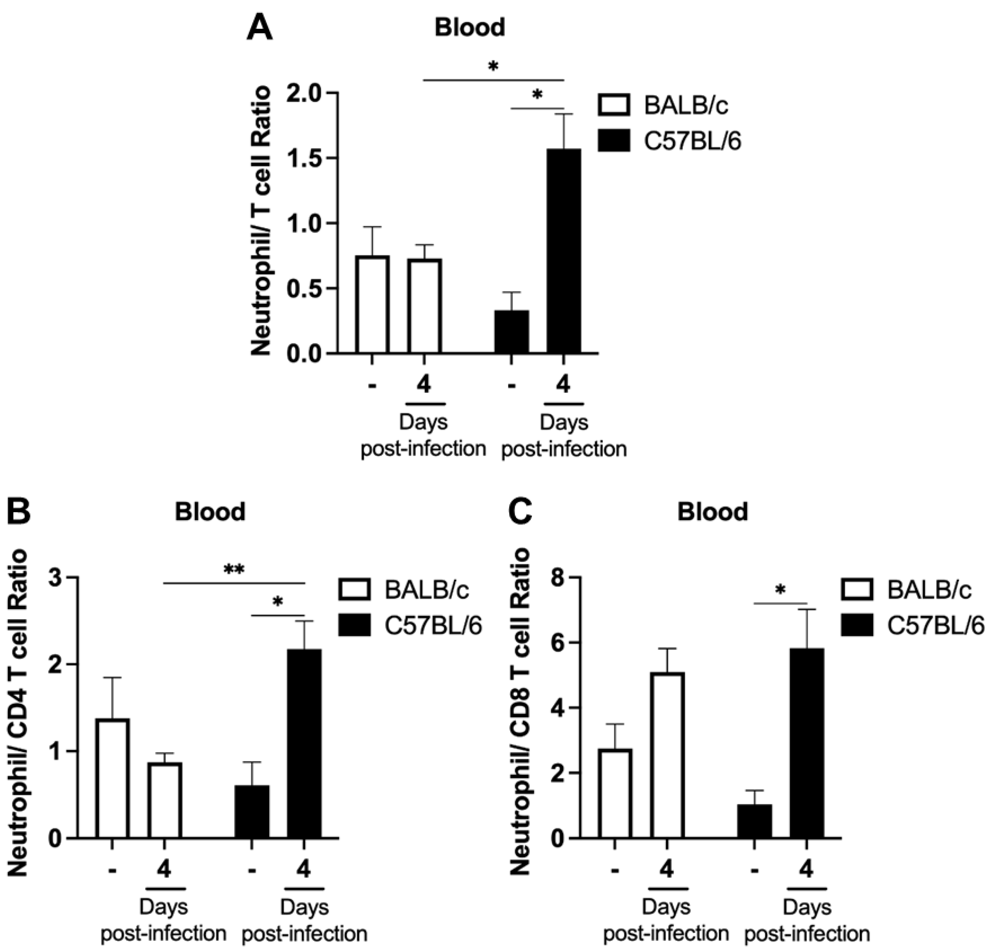 Ijms 24 11332 g005 Ijms 24 11332 g005
