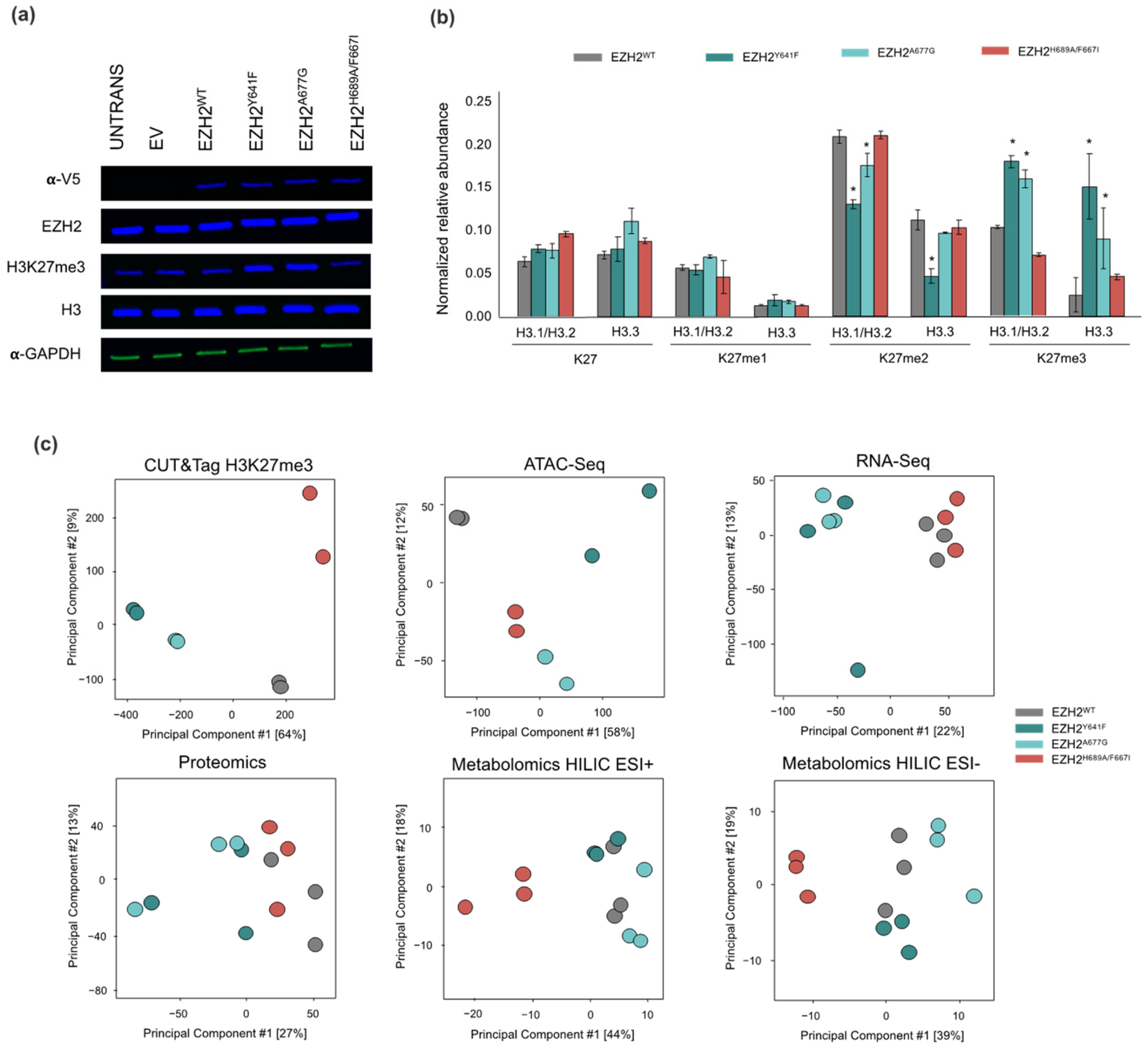 Ijms 24 11378 g001 Ijms 24 11378 g001