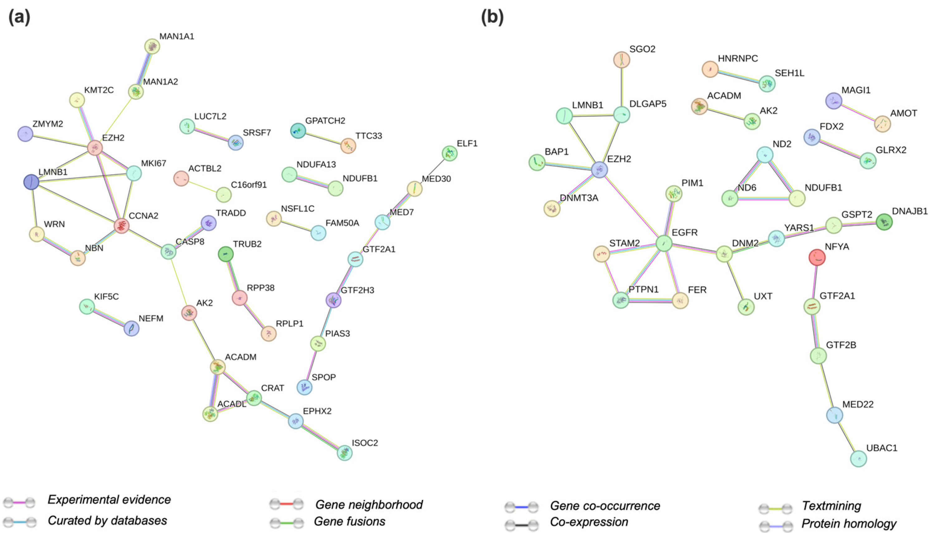 Ijms 24 11378 g004 Ijms 24 11378 g004