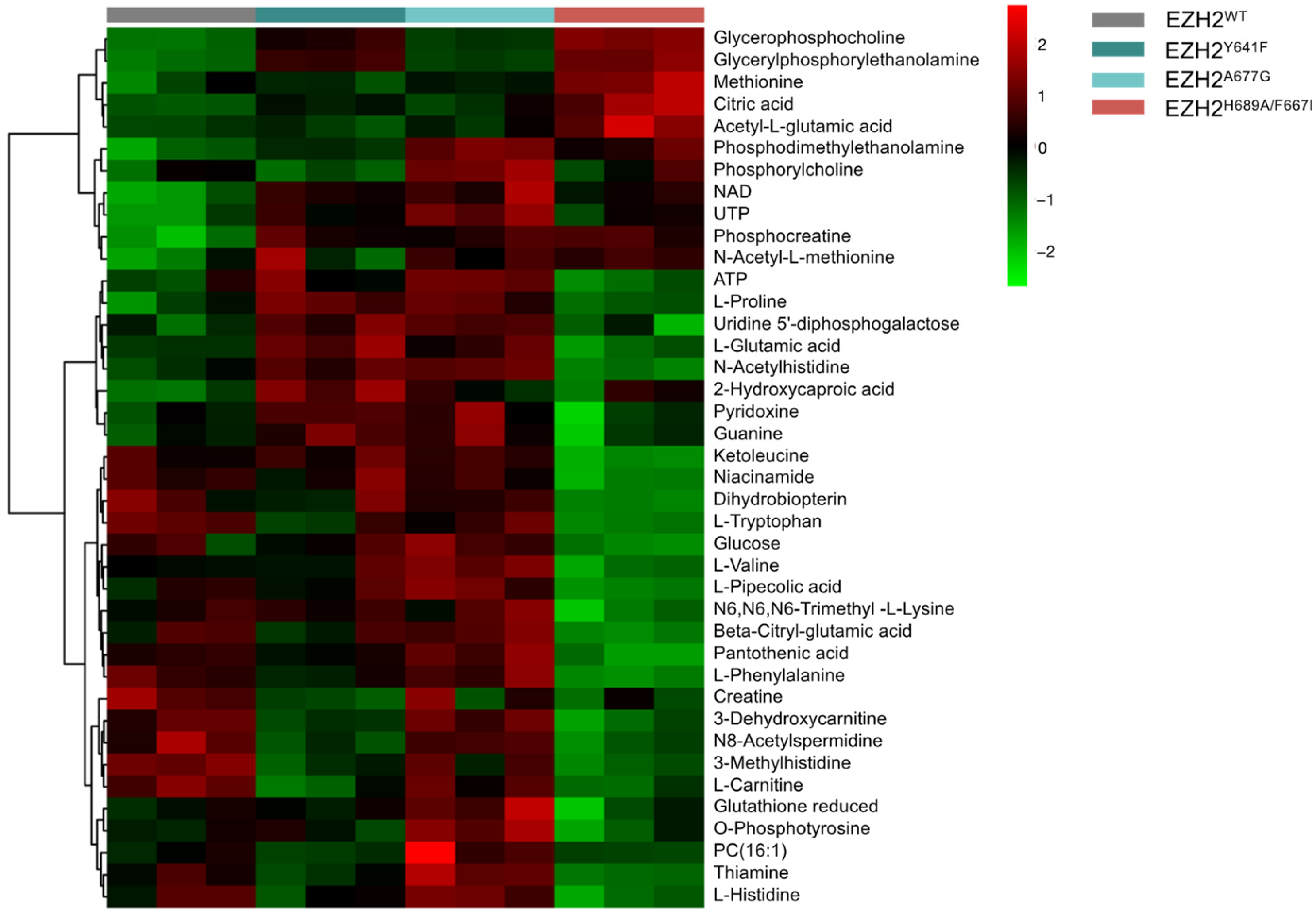 Ijms 24 11378 g005 Ijms 24 11378 g005